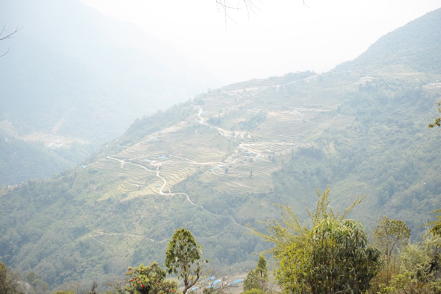 ヒマラヤに会った旅の記録〜其のゼロ〜｜Sayaka Mochizuki