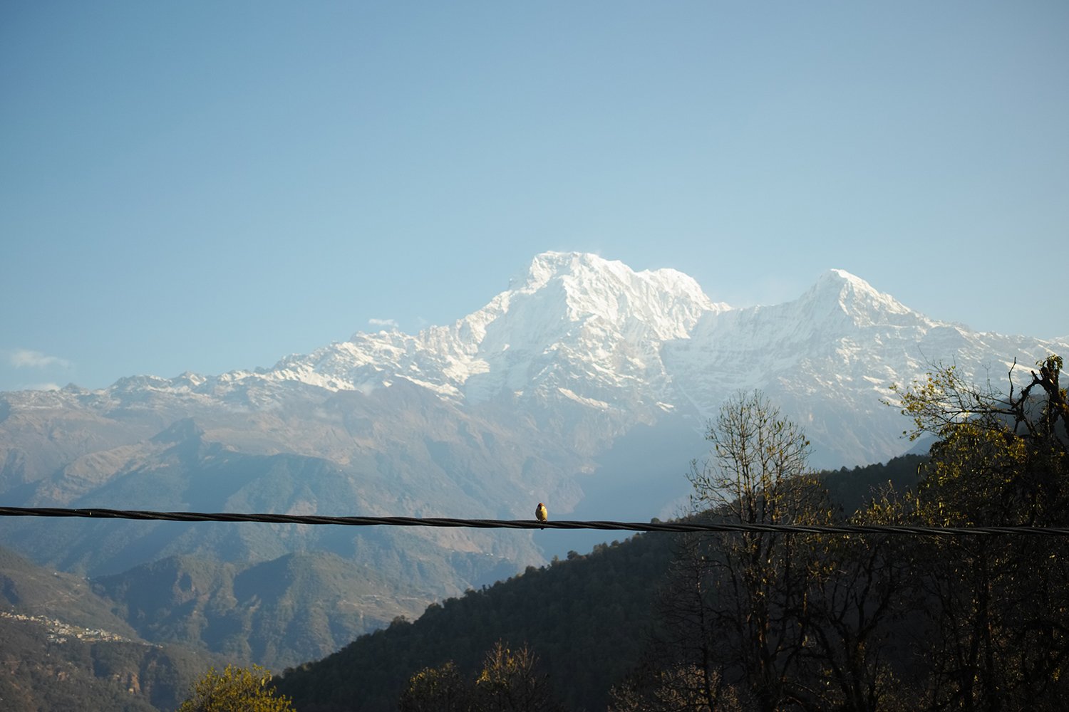 ヒマラヤに会った旅の記録〜其のゼロ〜｜Sayaka Mochizuki