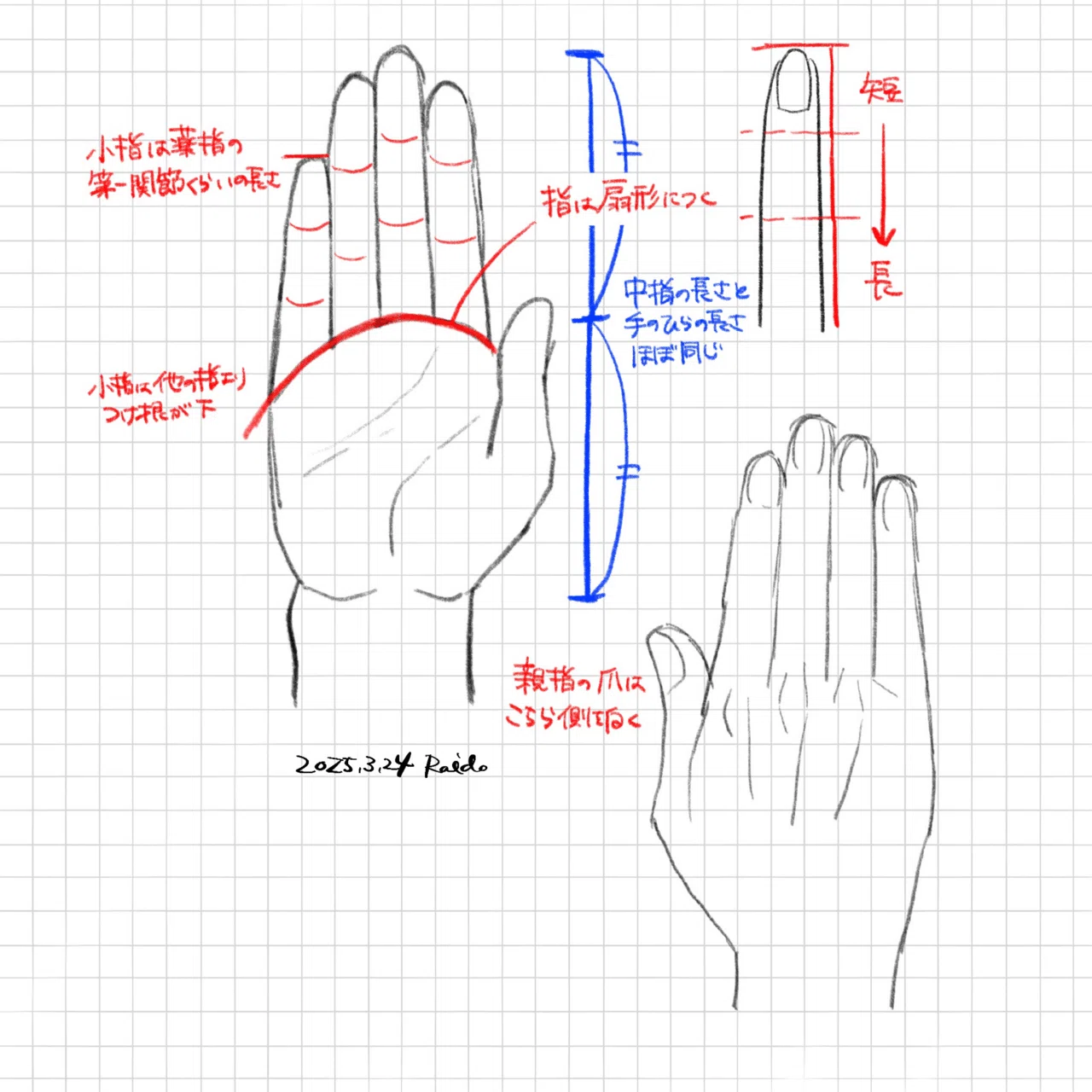手を描くのが上手くなりたい｜Raido