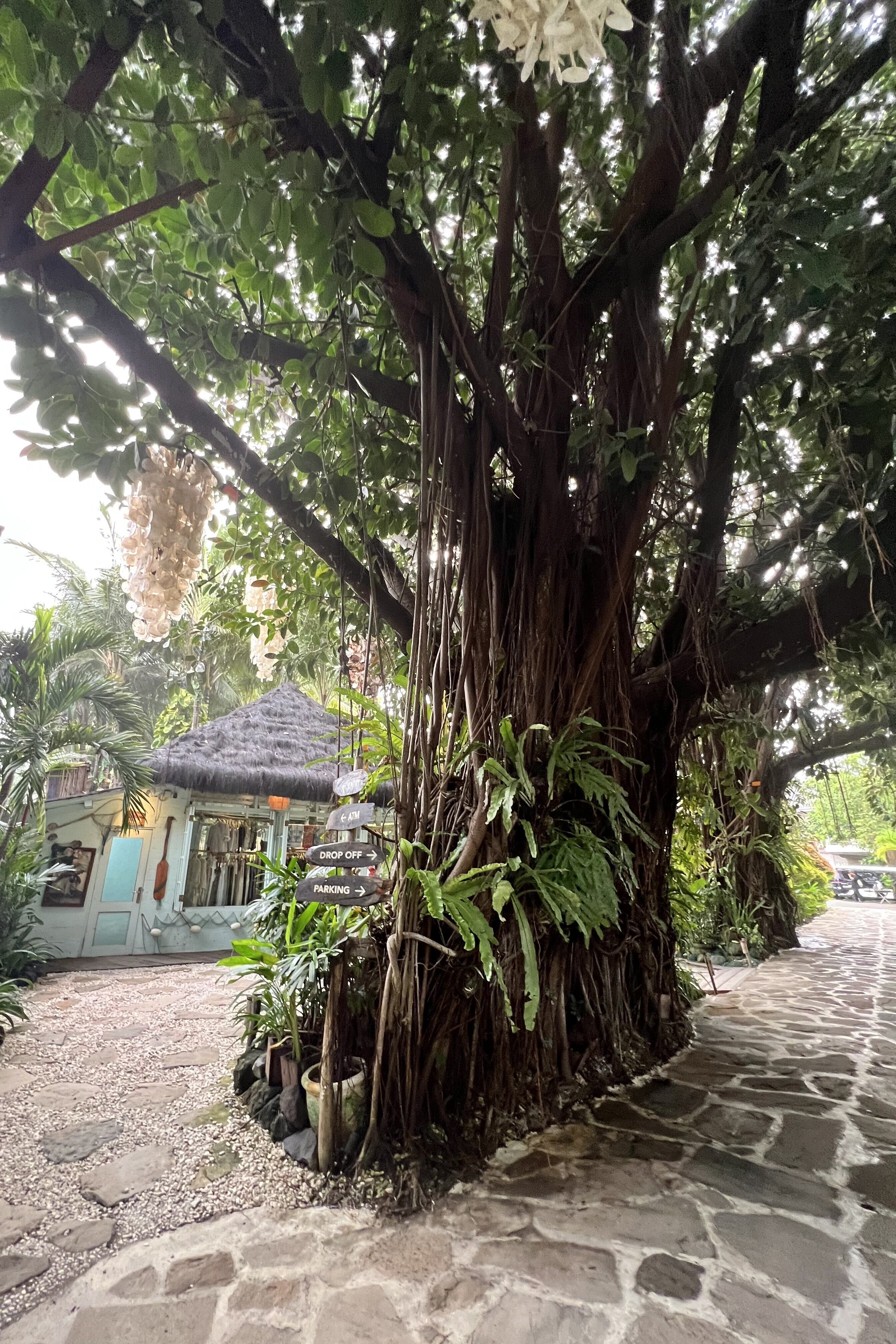 Day3@チャングー_10回目のバリ島🏝️🌳旅日記 《寝ても覚めても