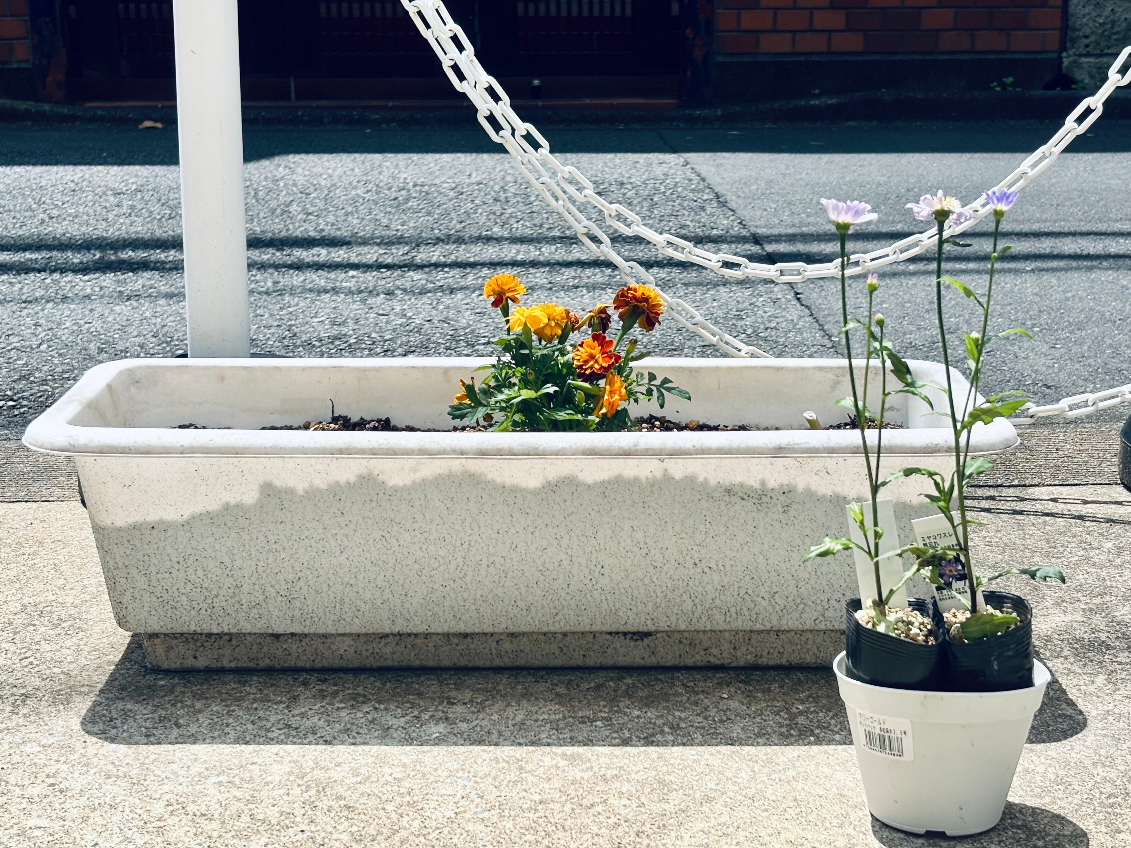 CONTAX645でフィルム撮影始めました 実行編、でありかつ、失敗編