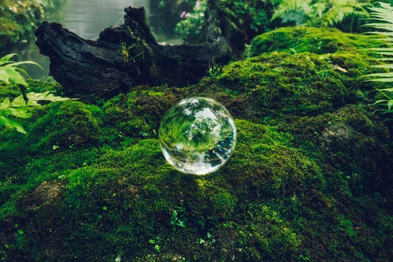 森林に置かれた占いで使用する水晶玉