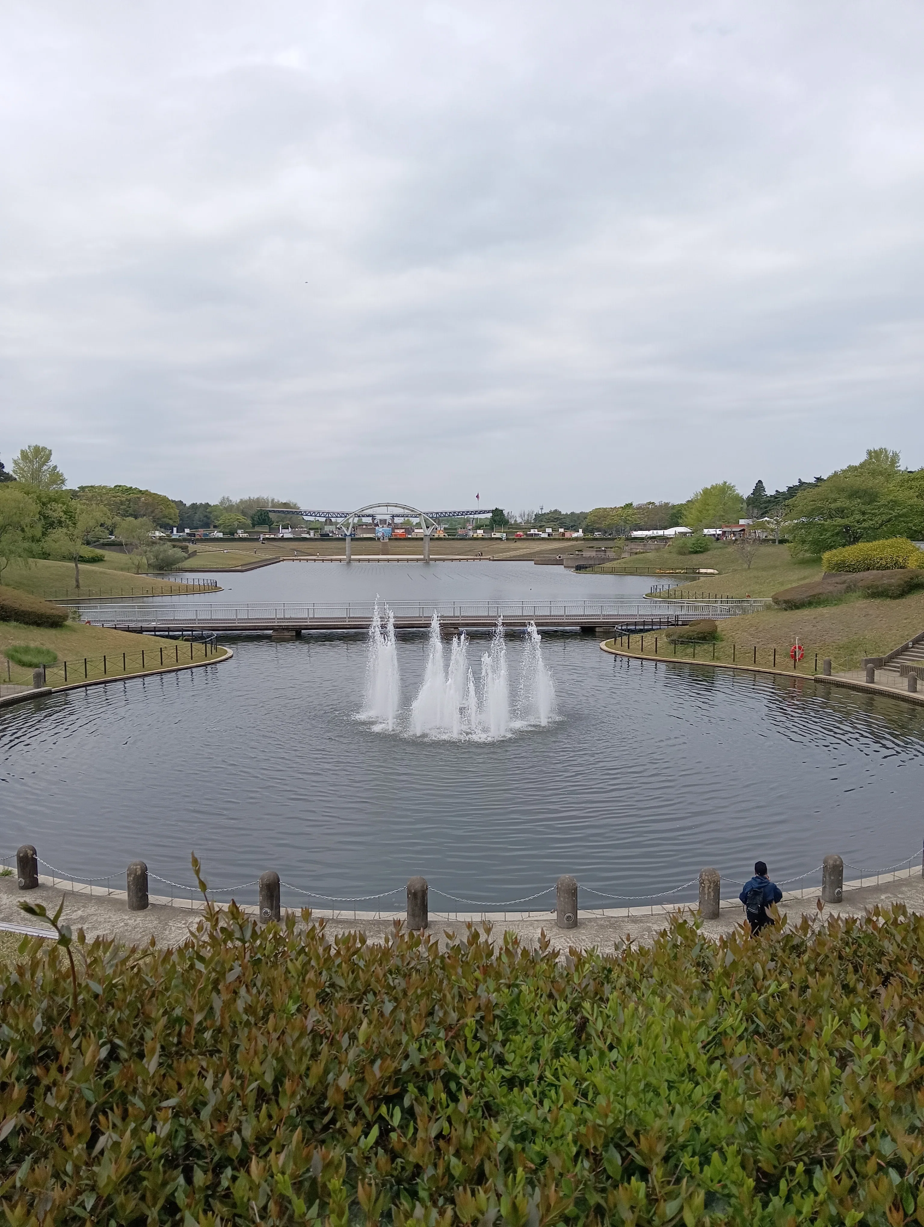 I went to see the nemophila (in April)｜マサ