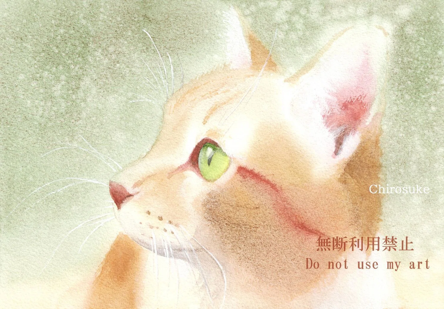ねこ（水彩画）と顔彩耽美グラニュレーティングカラーズ 2｜ちろ