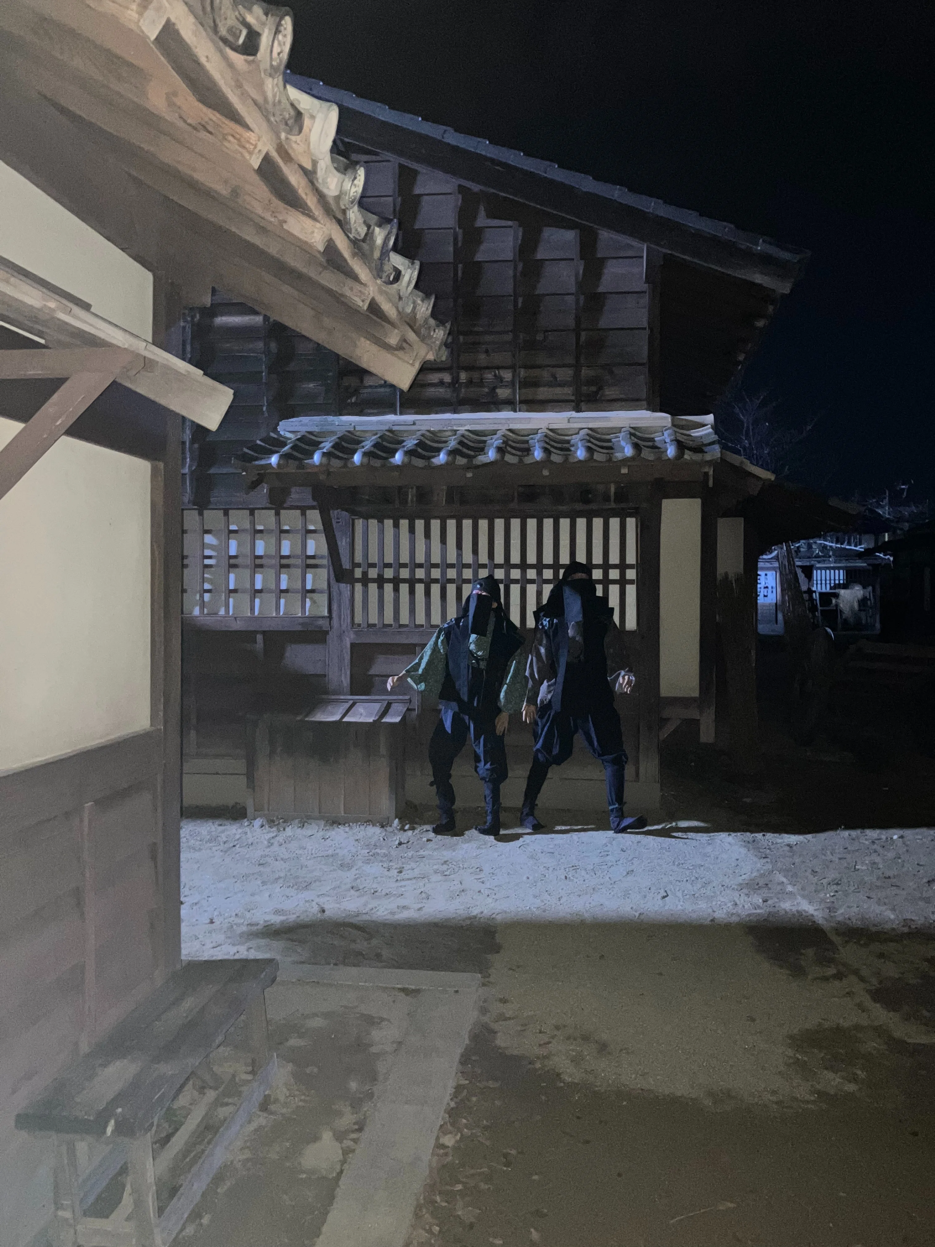 ゾンビまみれの松竹京都撮影所!? 木村文乃×田中樹W主演「連続ドラマW I
