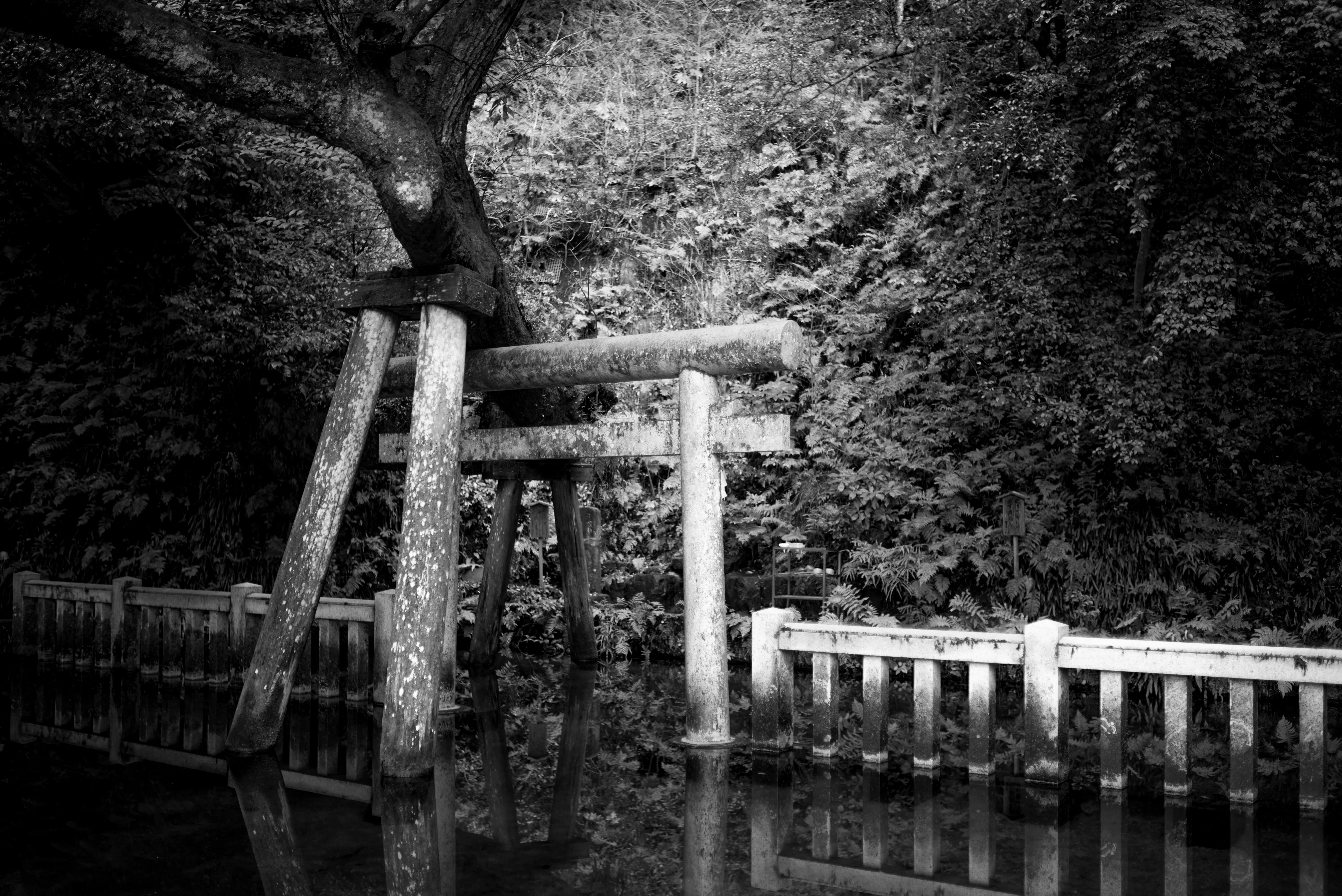 レビュー】Leica M Monochrom (Typ 246)──「全ての色を手放したとき