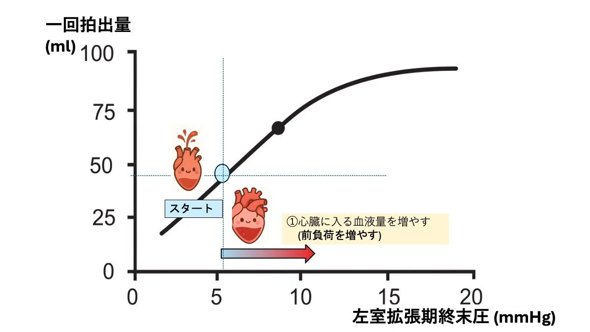 スターリング の 法則