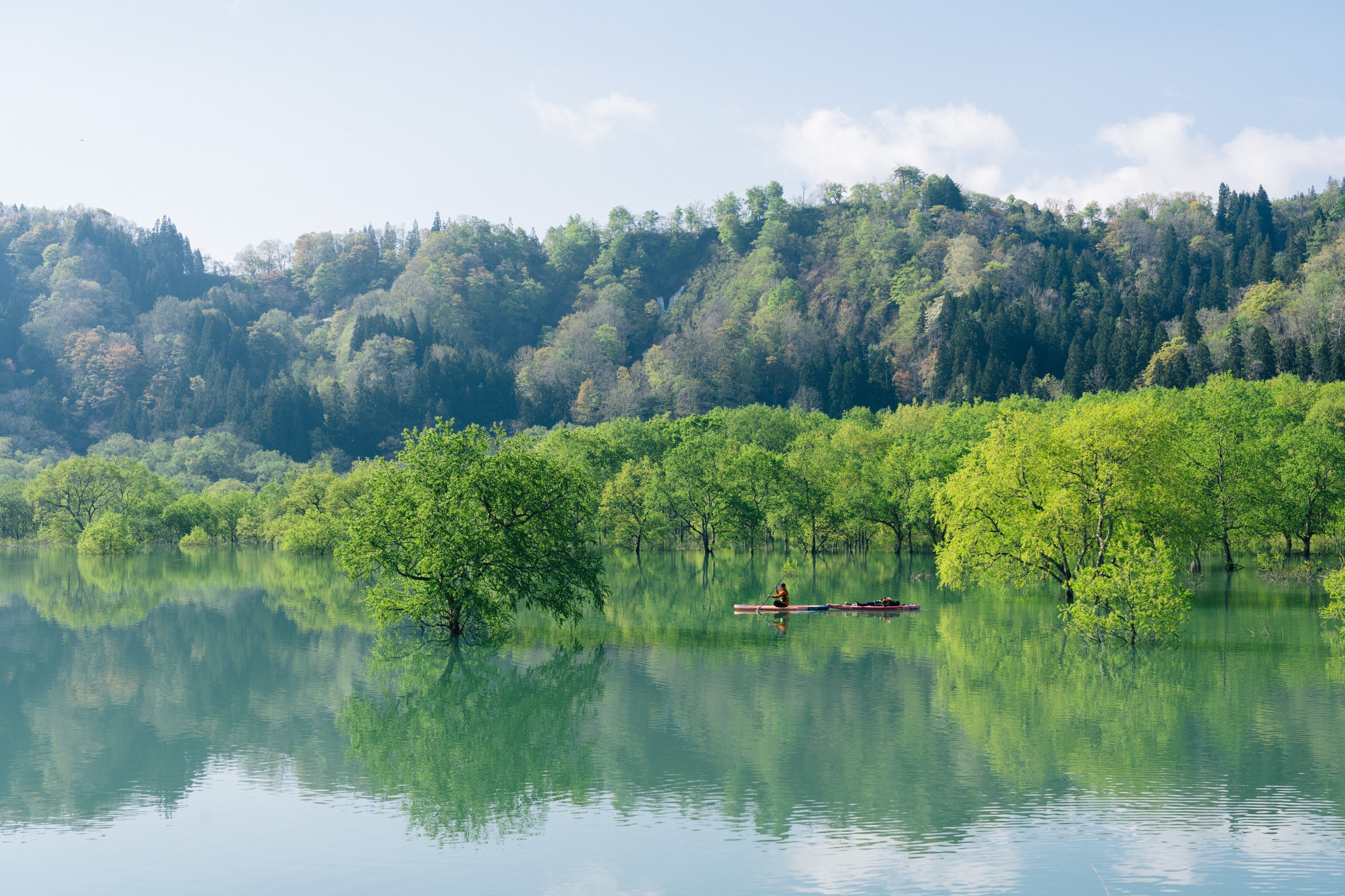 山形県白川湖、水没林カヌー2025｜横田 裕市/写真家×編集者
