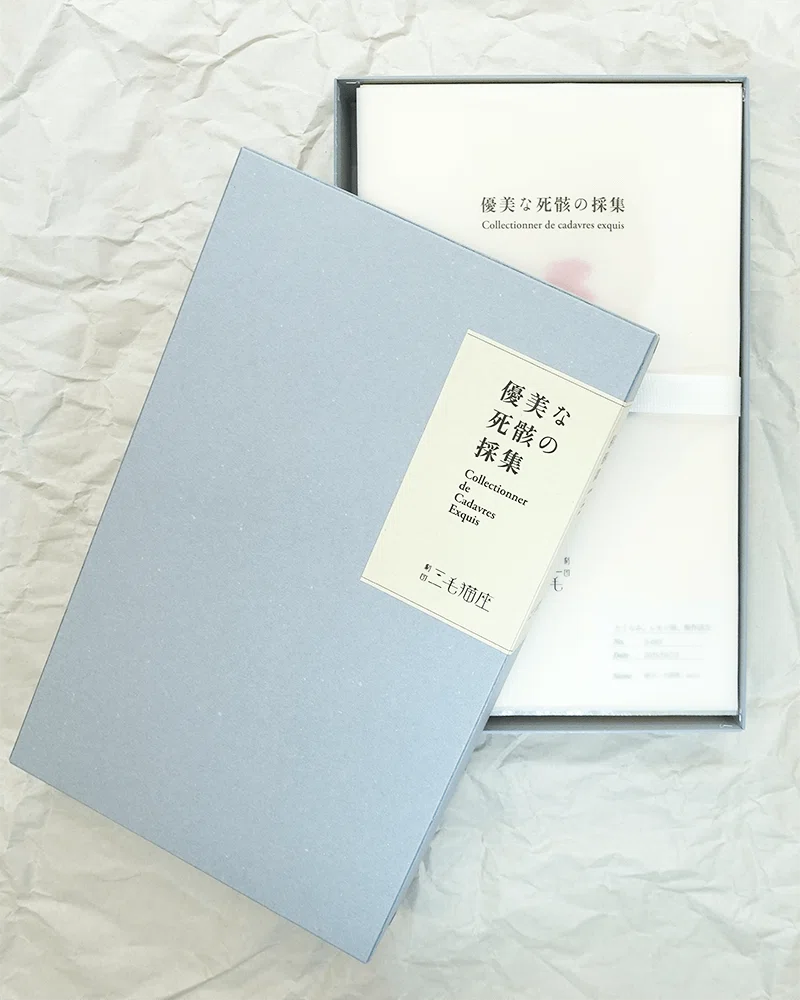 優美な死骸』創作ノート 詩集「優美な死骸の採集」特装版について
