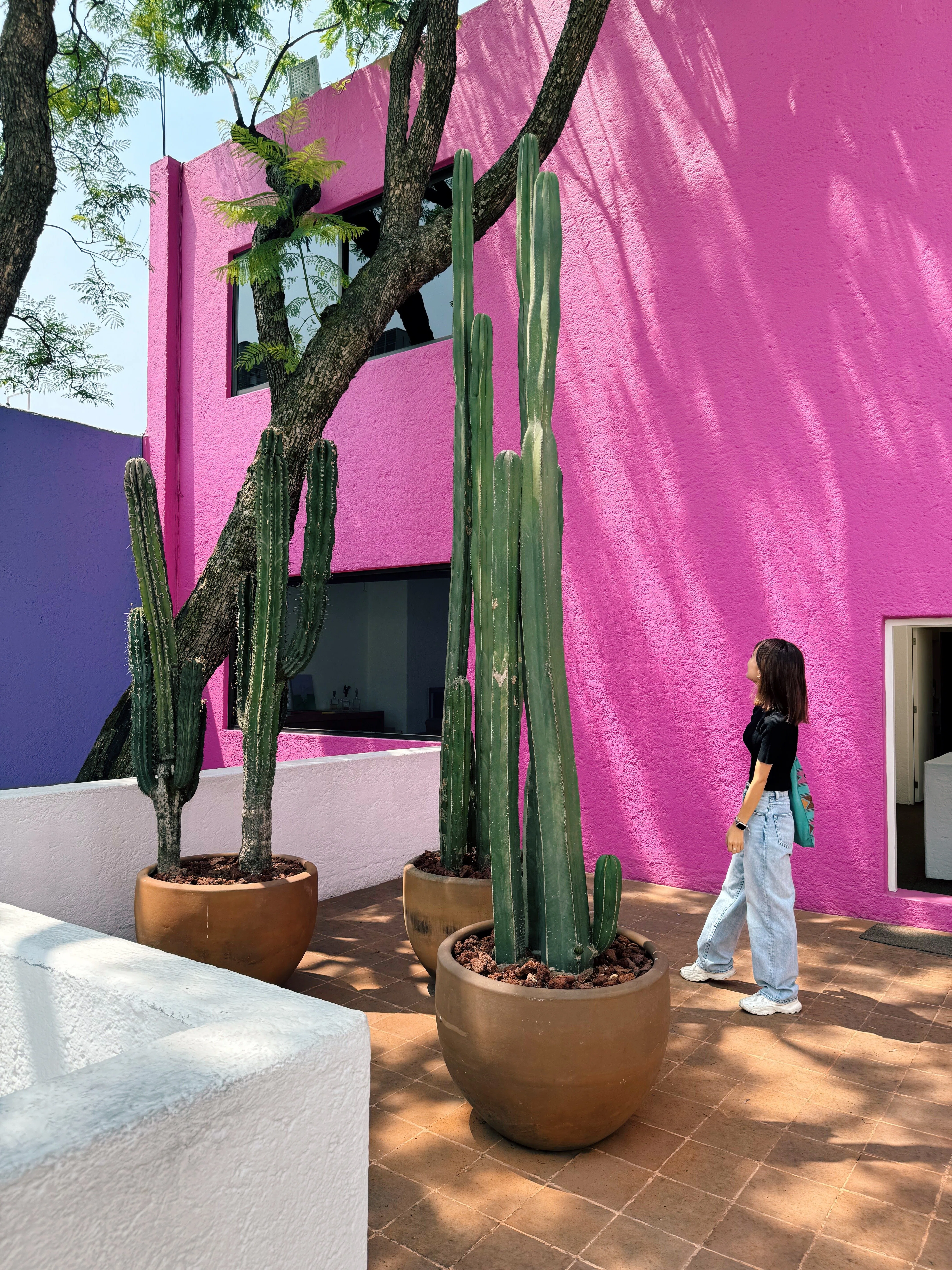 ルイス・バラガン 静かなる革命　シュリンク付き　新品　LUIS　BARRAGAN ルイス・バラガンによるCasa Gilardi : r/architecture