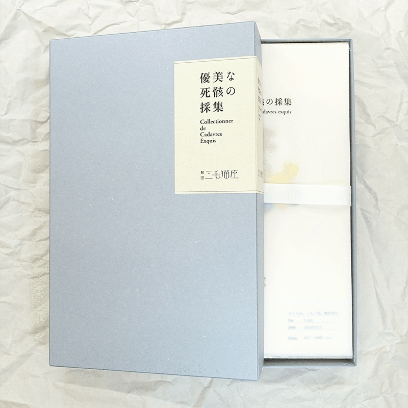 優美な死骸』創作ノート 詩集「優美な死骸の採集」特装版について