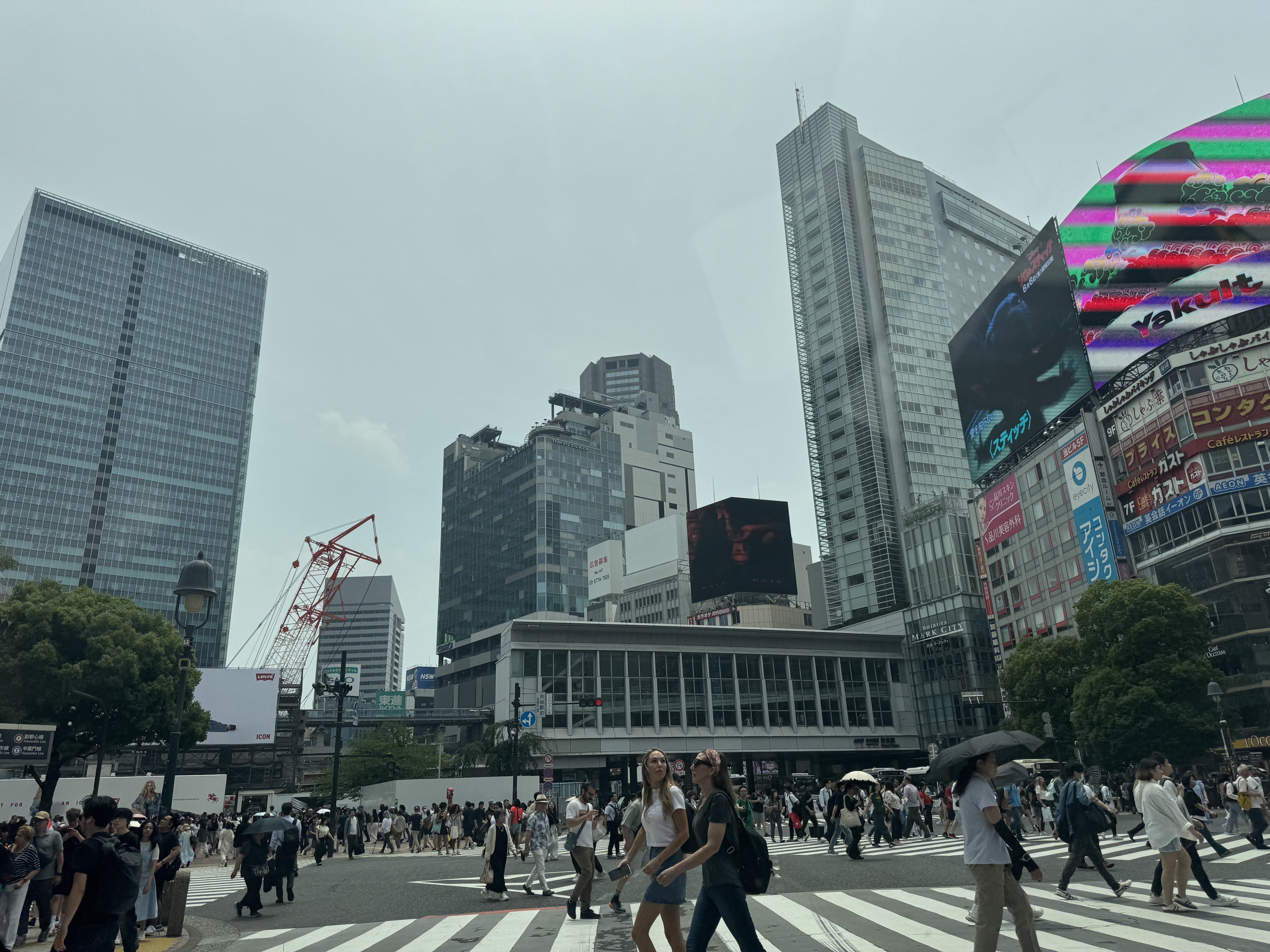 有隣堂ミウィ橋本店 on X: 