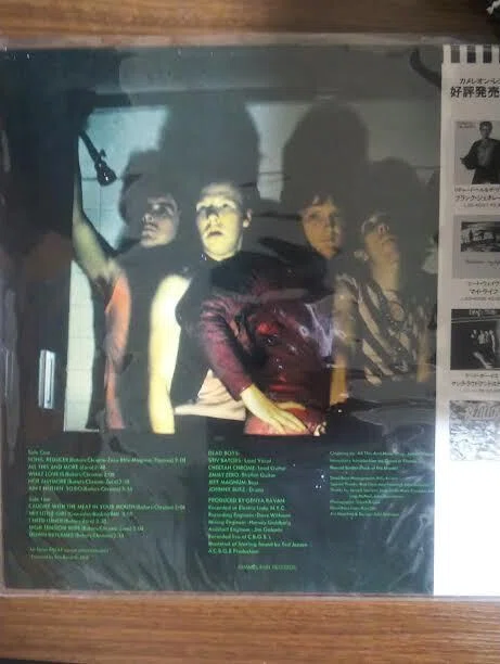 死してもなお、世人を惑わす―Dead Boys｜奎文初