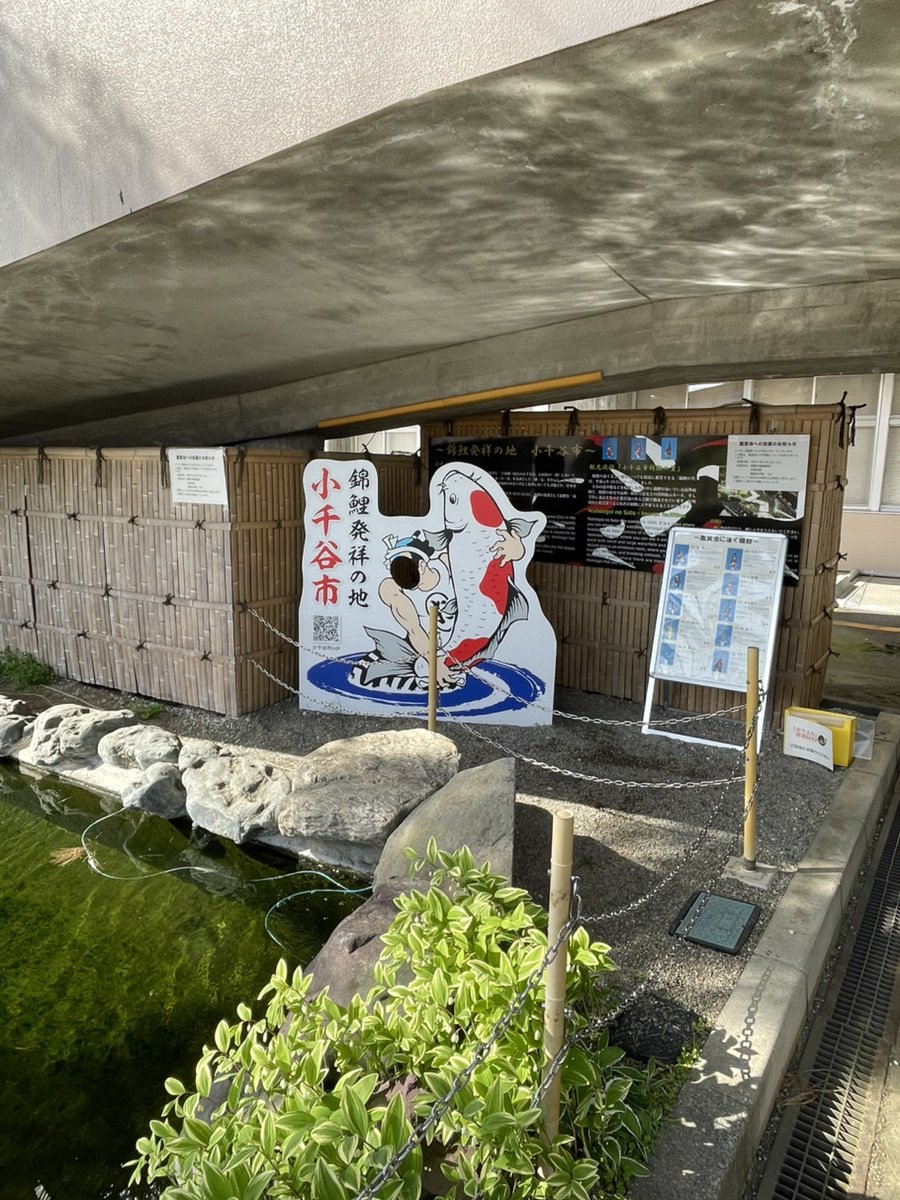 なぜこの町にコイキング？ポケふたが教えてくれた“地域の伝え方