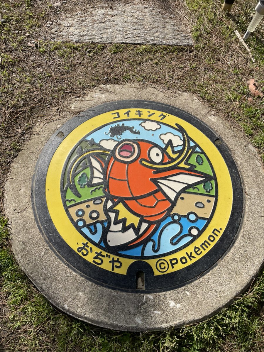 なぜこの町にコイキング？ポケふたが教えてくれた“地域の伝え方”｜りく