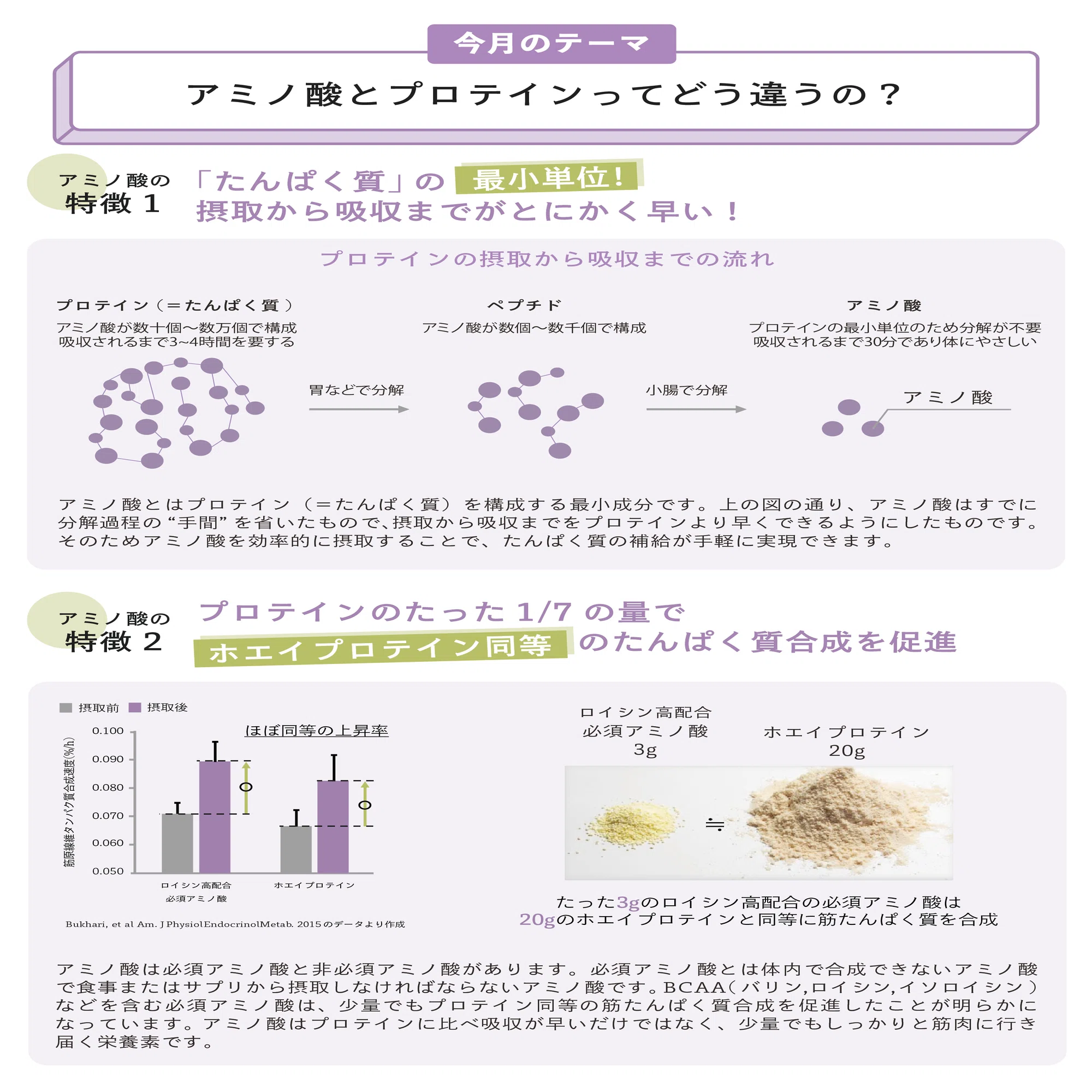 アミノ酸とプロテインの違い｜GRANDE note