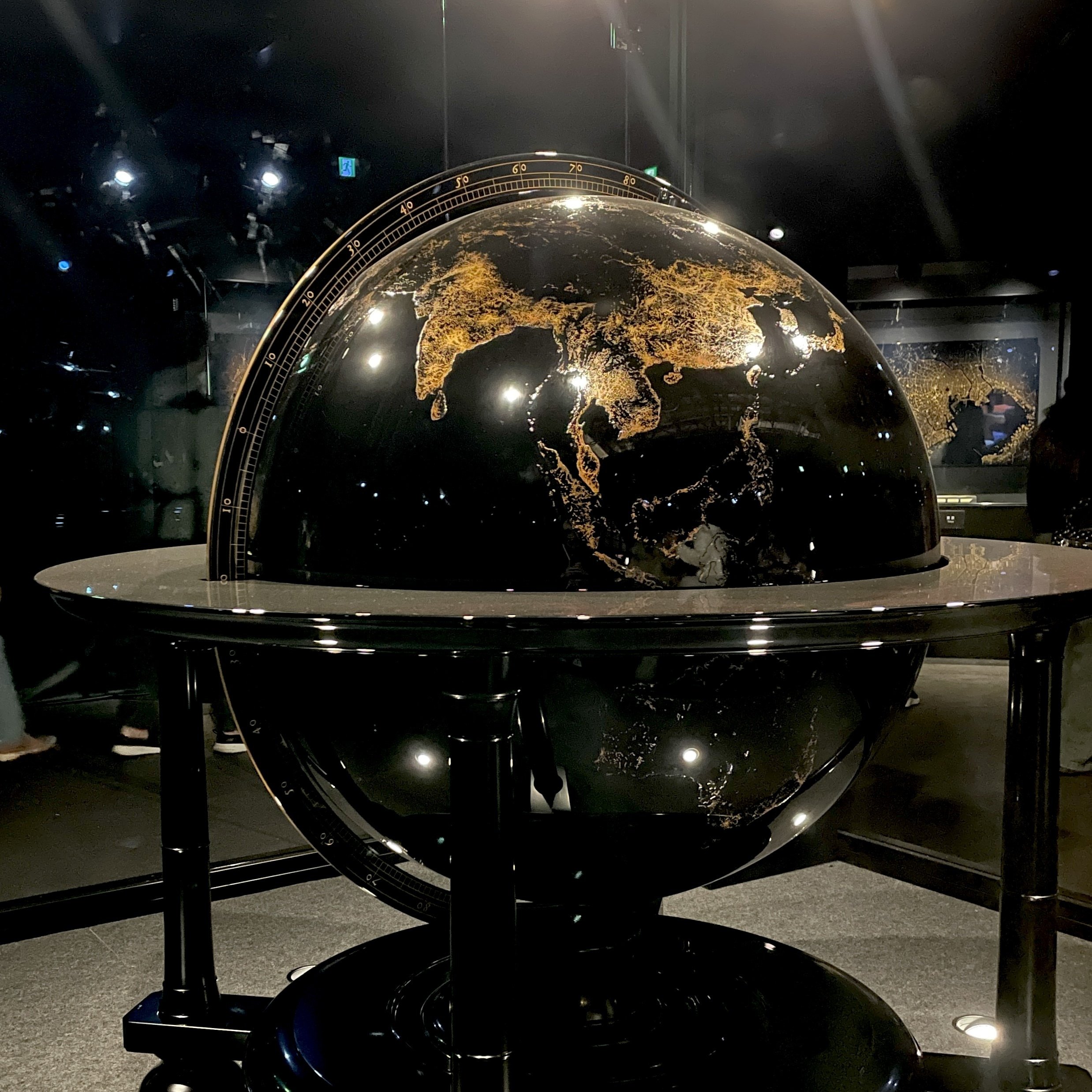 夜の地球｜ウサギ