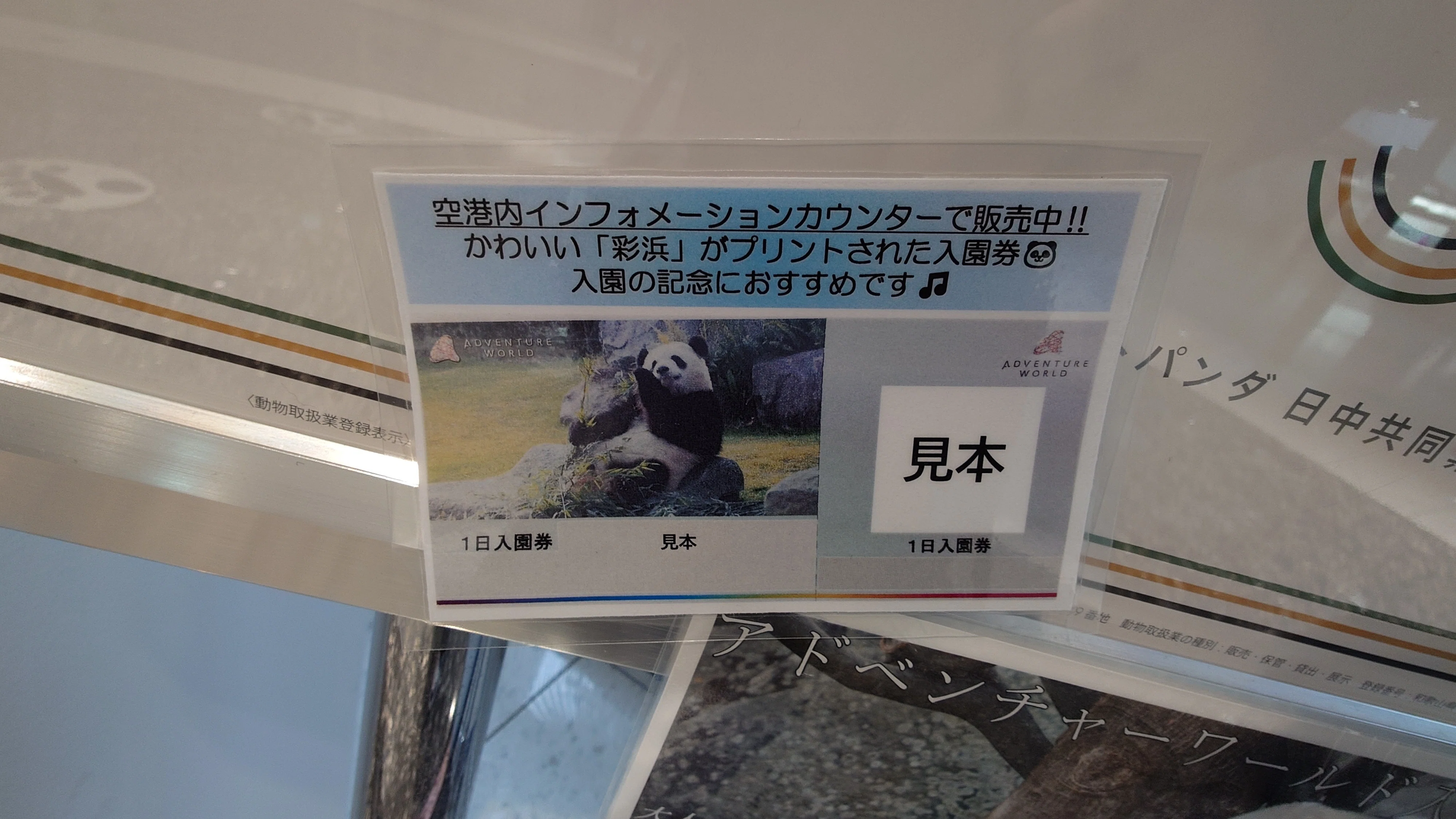 番外編】白浜・浜家への道～アドベンチャーワールド②｜shihopandachan