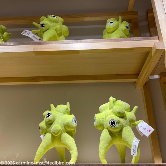 役にたたない大阪・関西万博の歩き方｜carmine