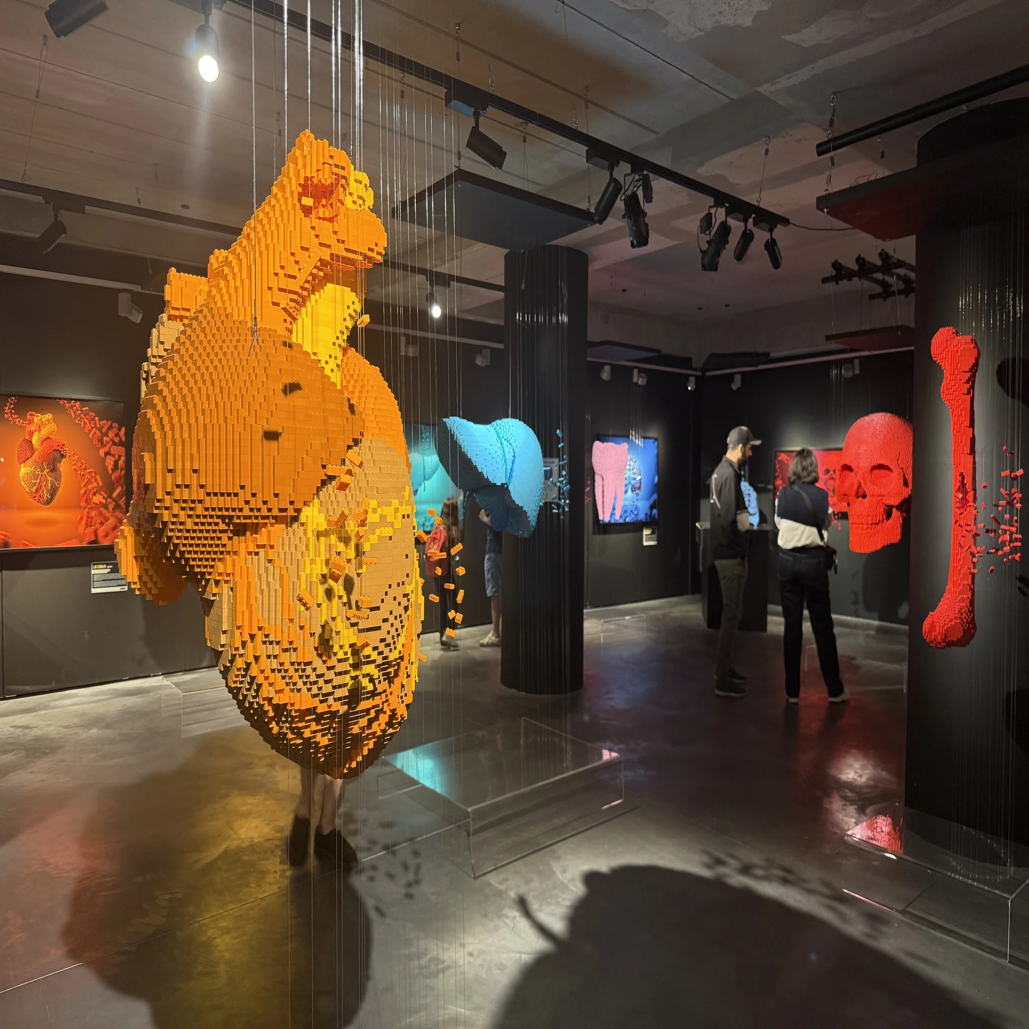 LEGO「The Art of the Brick」展覧会レポート｜Coco