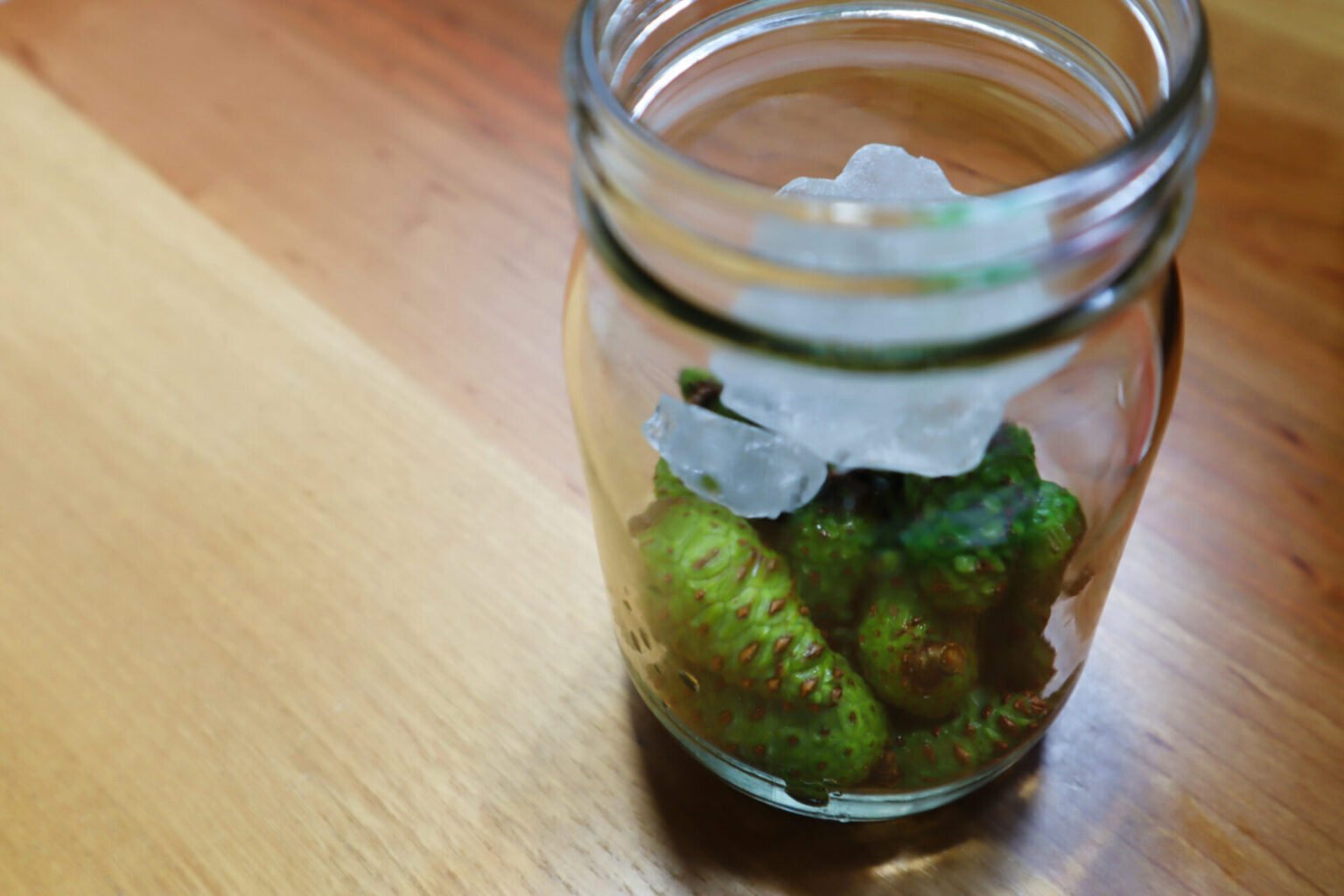 青ぼっくり　300g 松ぼっくり　爽やかな香り 青ぼっくり 300g 松ぼっくり 爽やかな香り 青ぼっくり 300g 松ぼっくり