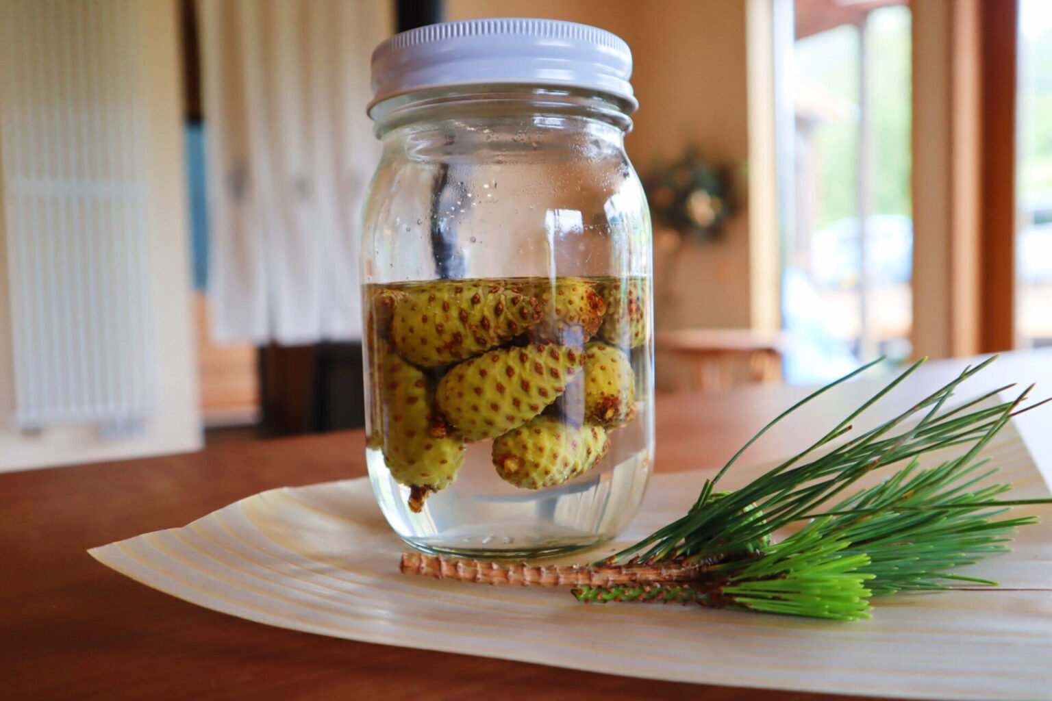 森と暮らし事典】どんな味になるかは半年後のお楽しみ 青い松ぼっくり
