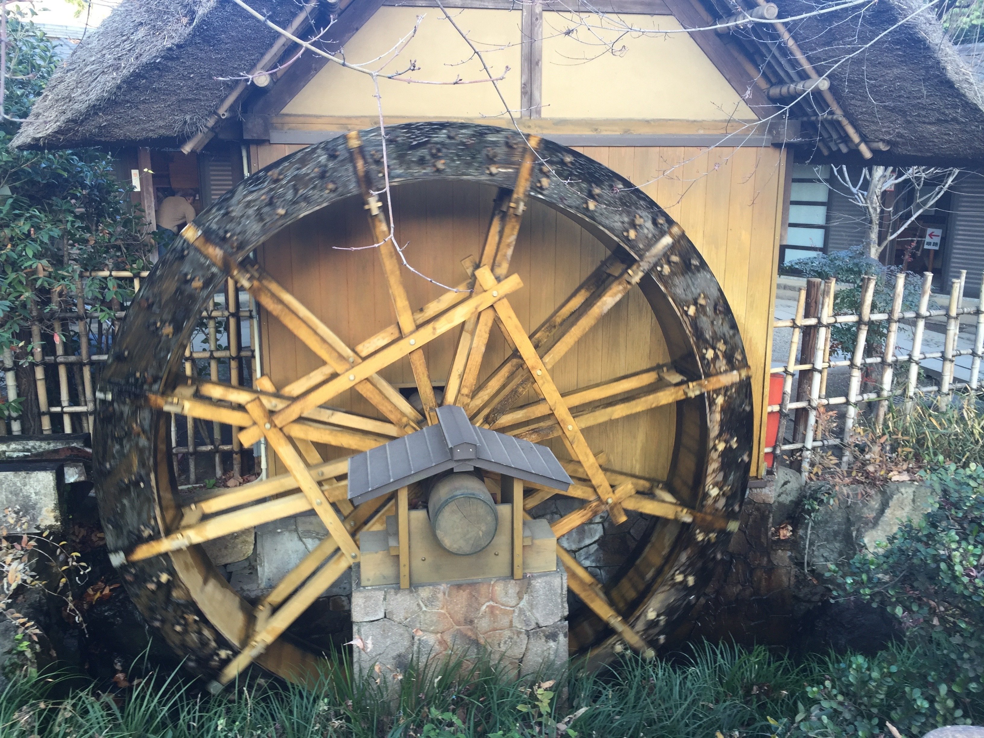 水木しげる】｜jaguar