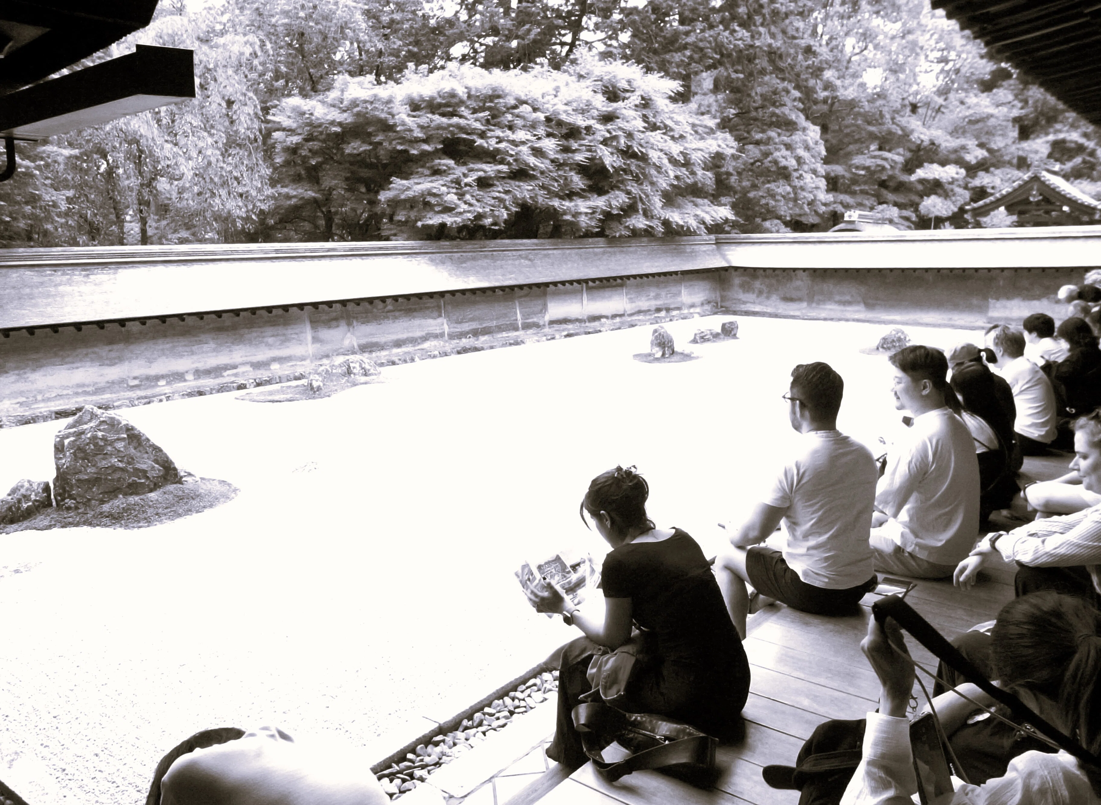 寺社レポ：謎多き龍安寺石庭と人々の視点を楽しむ冒険｜入江玄｜アート