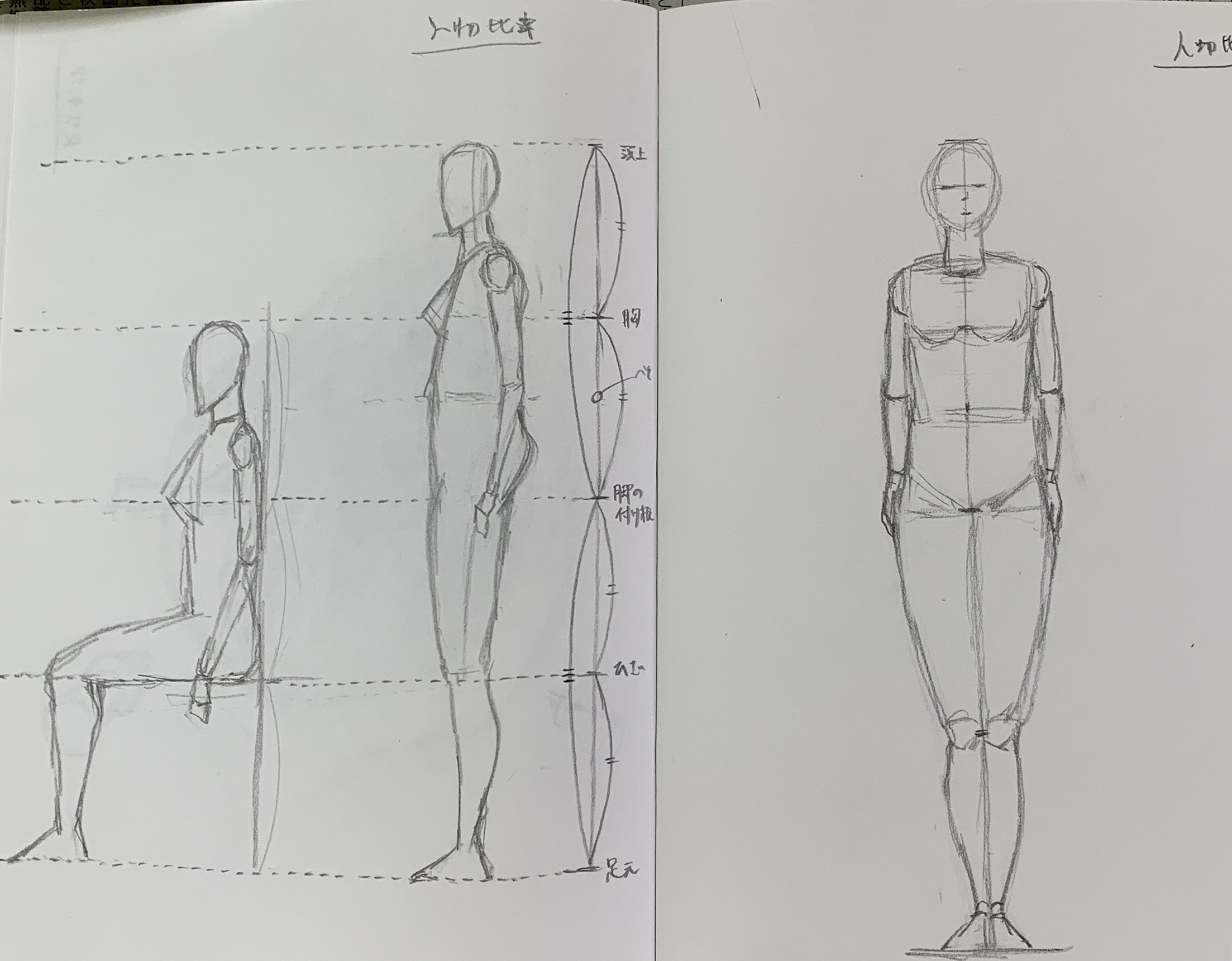 人物画のコツは比率｜ツチノコ