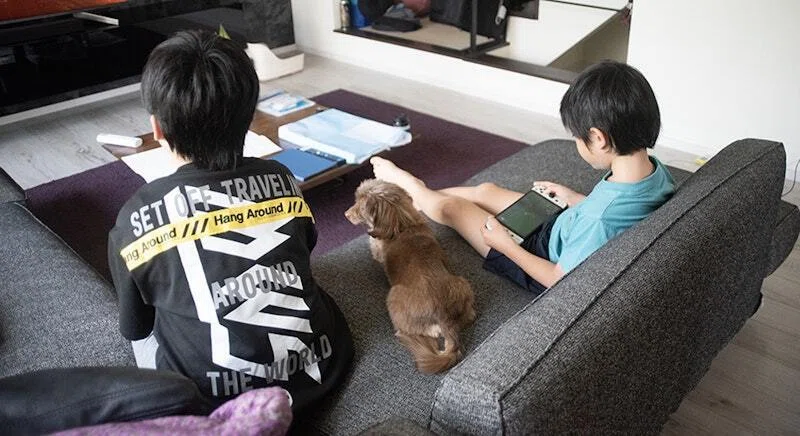 小学生の兄弟がリビングでゲームと勉強をする様子。そばには小型犬も寄り添い、家庭での学びとくつろぎの時間が映し出されている。