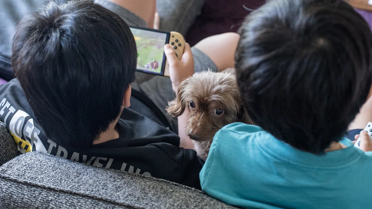Nintendo Switchでゲームを楽しむ小学生兄弟と見守る犬。