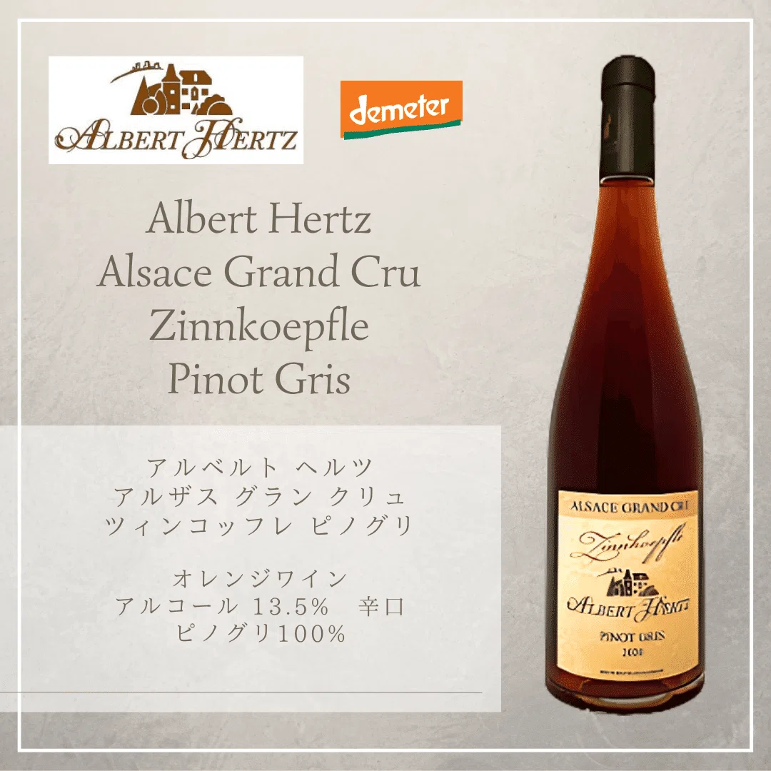 Albert Hertz（アルベルト ヘルツ）社内勉強会｜AlcotradeTrust