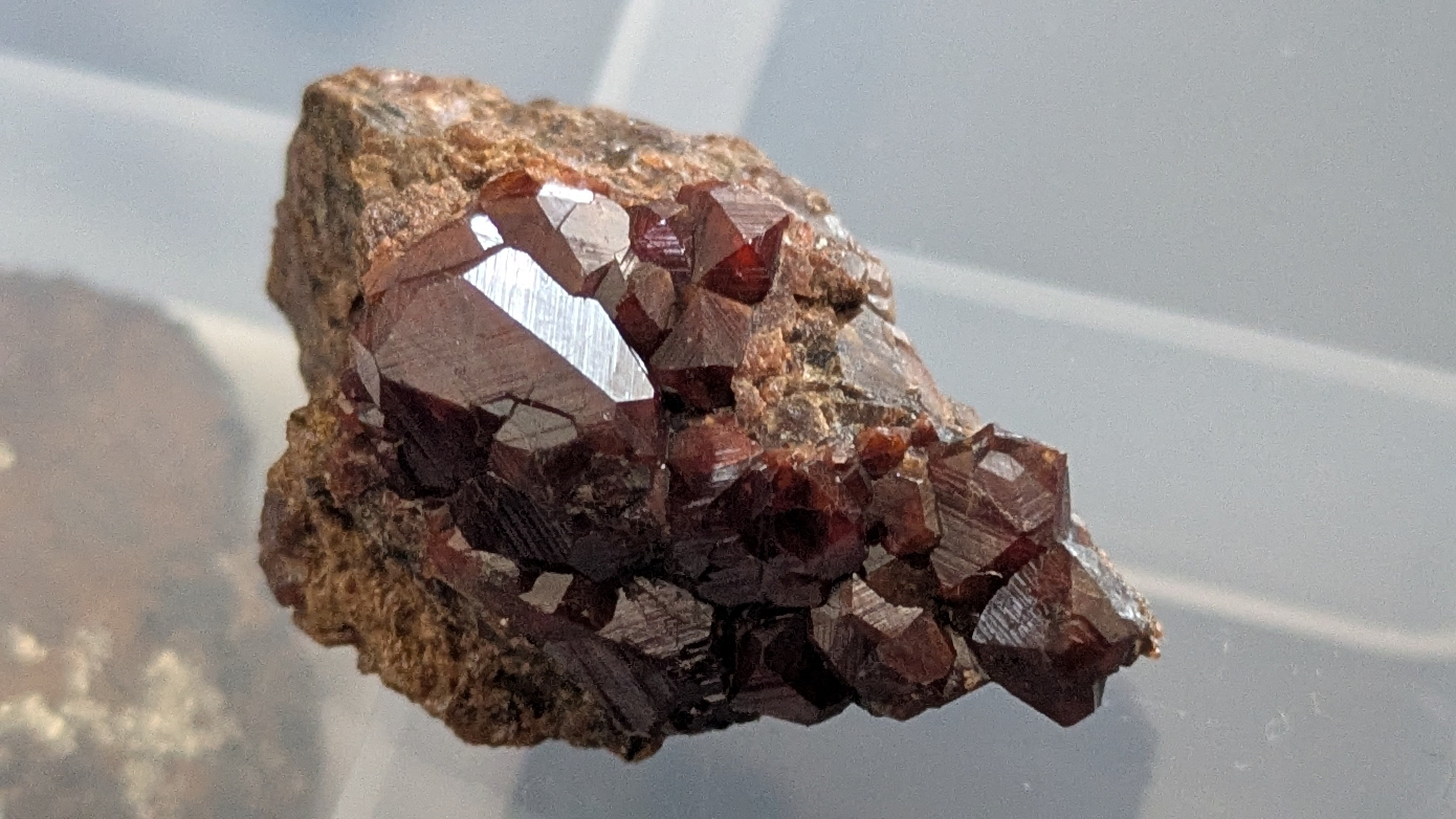 柘榴のある静物 Yahoo!オークション -「ザクロ」(日本画) (絵画)の落札相場