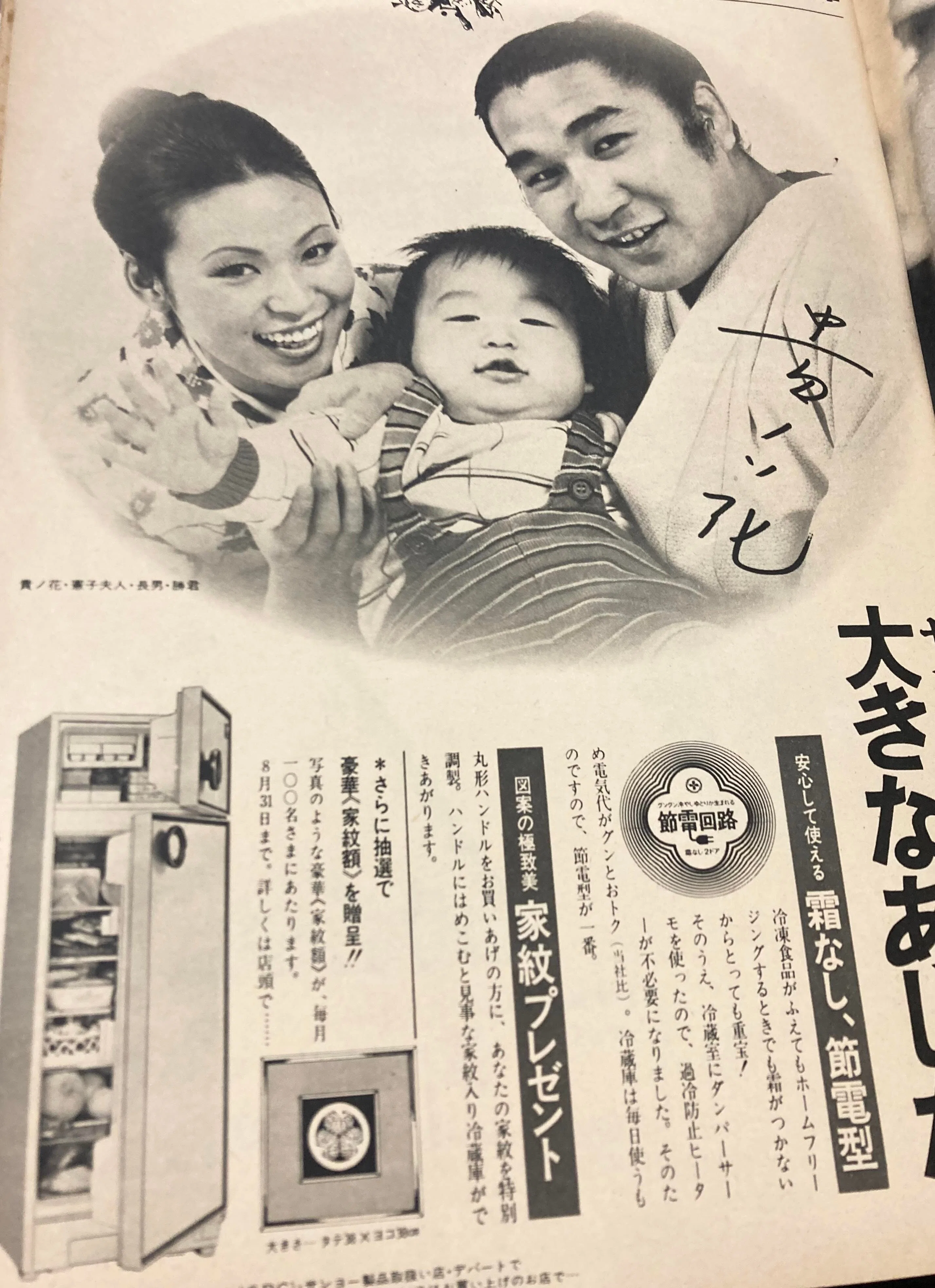 標準家族のための冷蔵空間｜1960年代ナショナル冷蔵庫パンフレットを