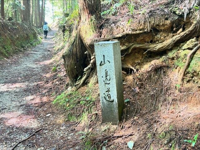 古代大和は宇陀から始まった : 出雲・三輪・宇佐・伊勢・墨坂の不思議を一挙に解明 maxresdefault.jpg