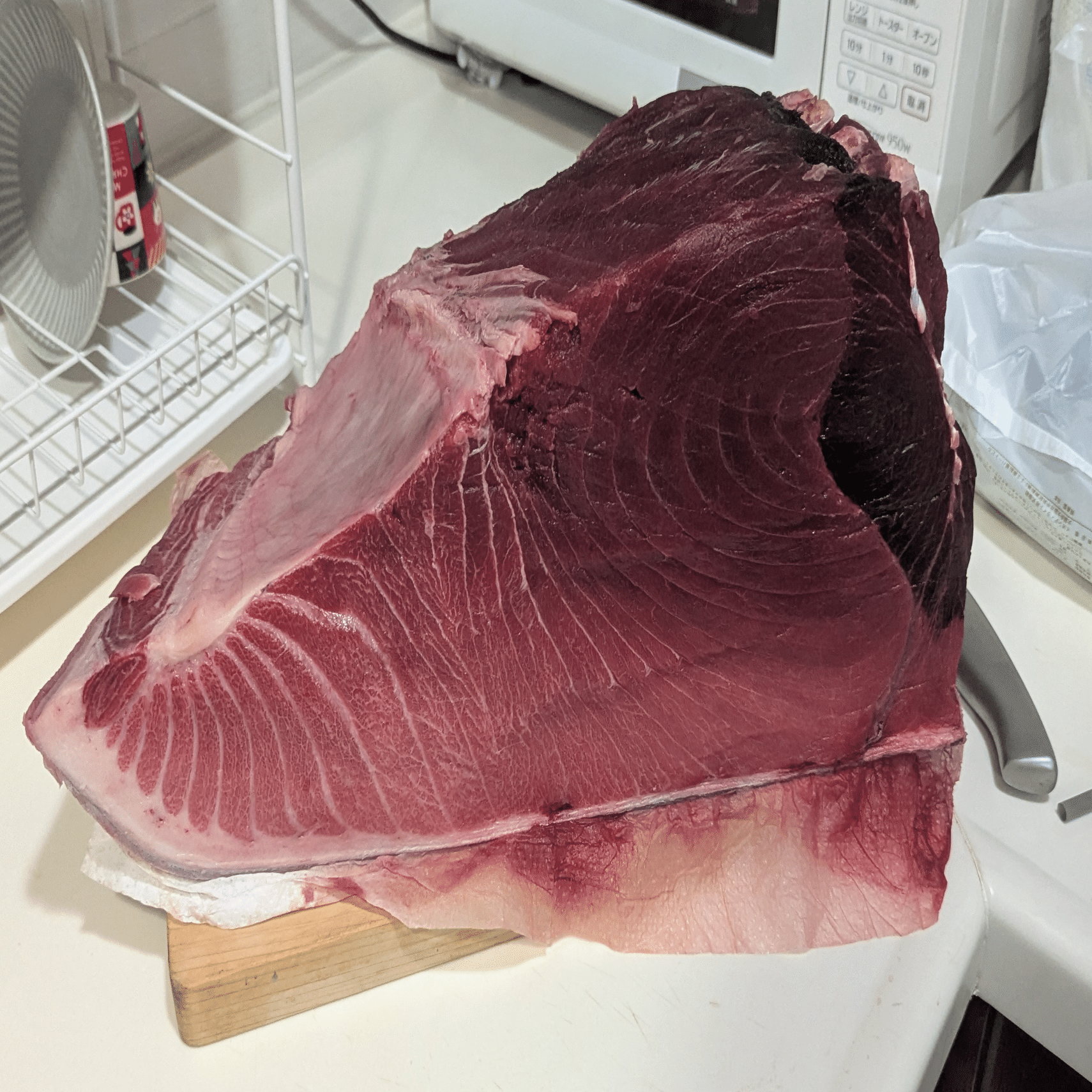 わいが思う泳がせマグロのあれやこれや｜tkd