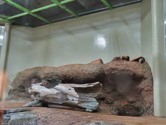 仙台うみの杜水族館｜waiwai