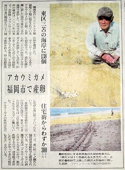 福岡市東区三苫浜でのウミガメ生態の記録｜tYMD