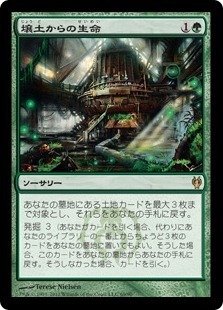 森の知恵 森の知恵/Sylvan Library《日本語》【EMA】