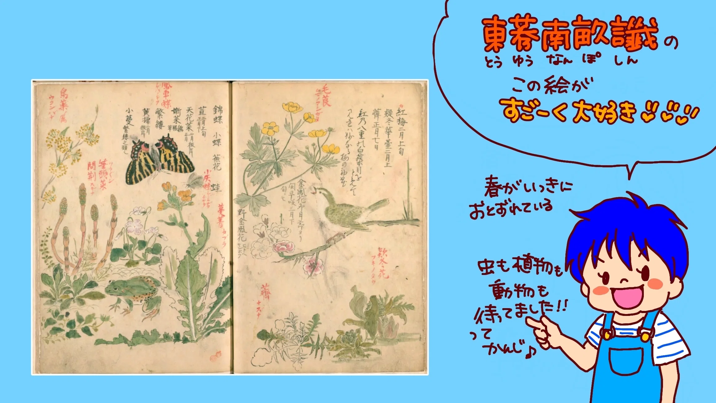 江戸時代の植物を描く｜POWER SEED 北澤 里奈｜生きざまを色で刻む表現者