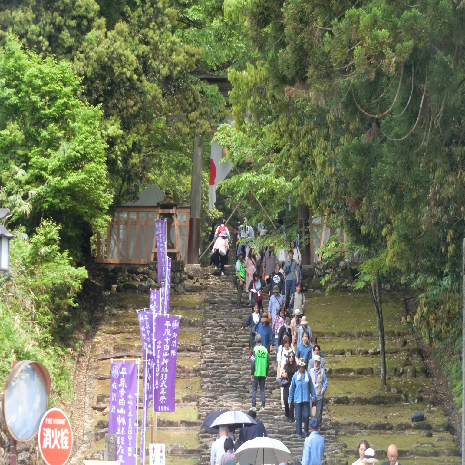 速報！33年ぶり御開帳「平泉寺白山神社」3時間33分後の出会い【写真感 