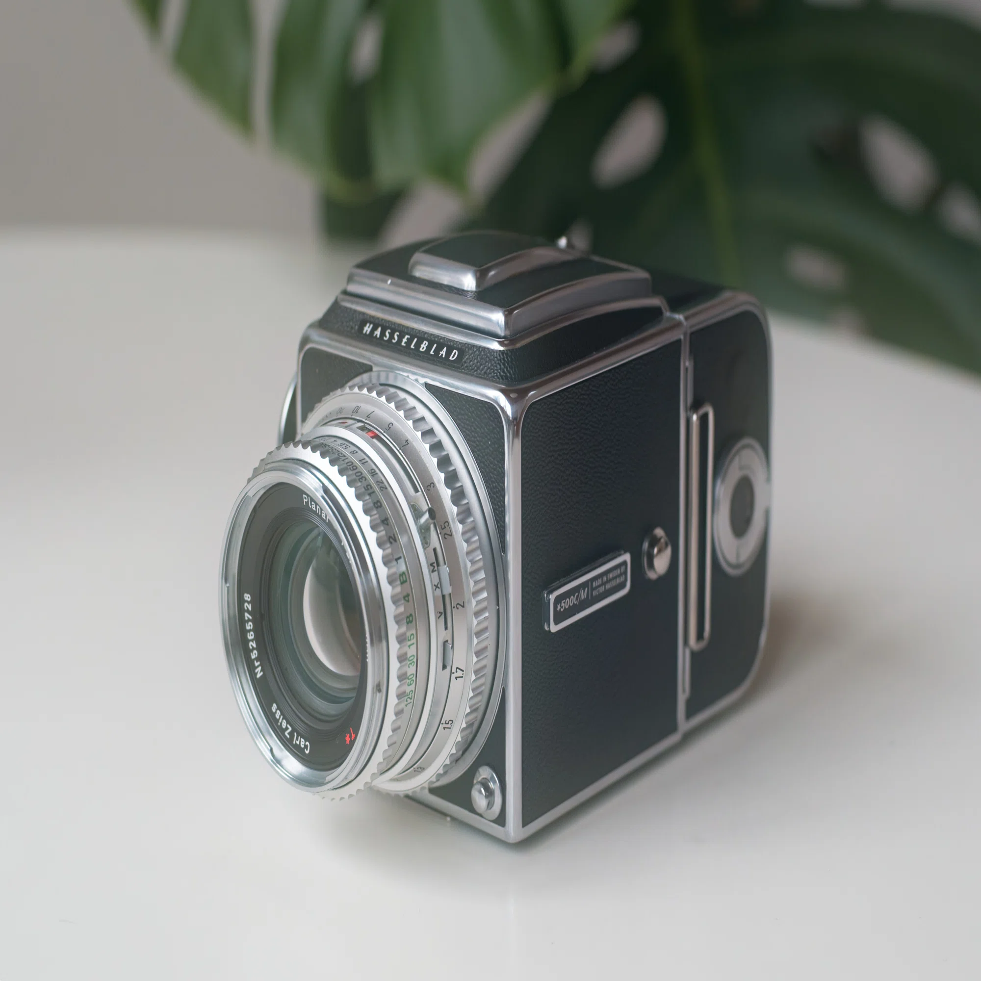 中判フィルムカメラの魅力 ― Hasselblad 500C/M+PlanarC80mmT*F2.8の 