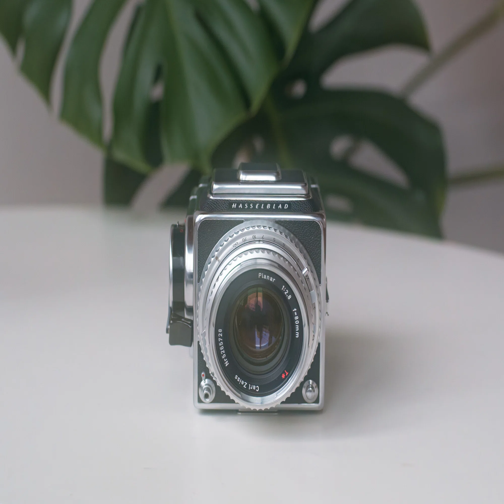 中判フィルムカメラの魅力 ― Hasselblad 500C/M+PlanarC80mmT*F2.8の 