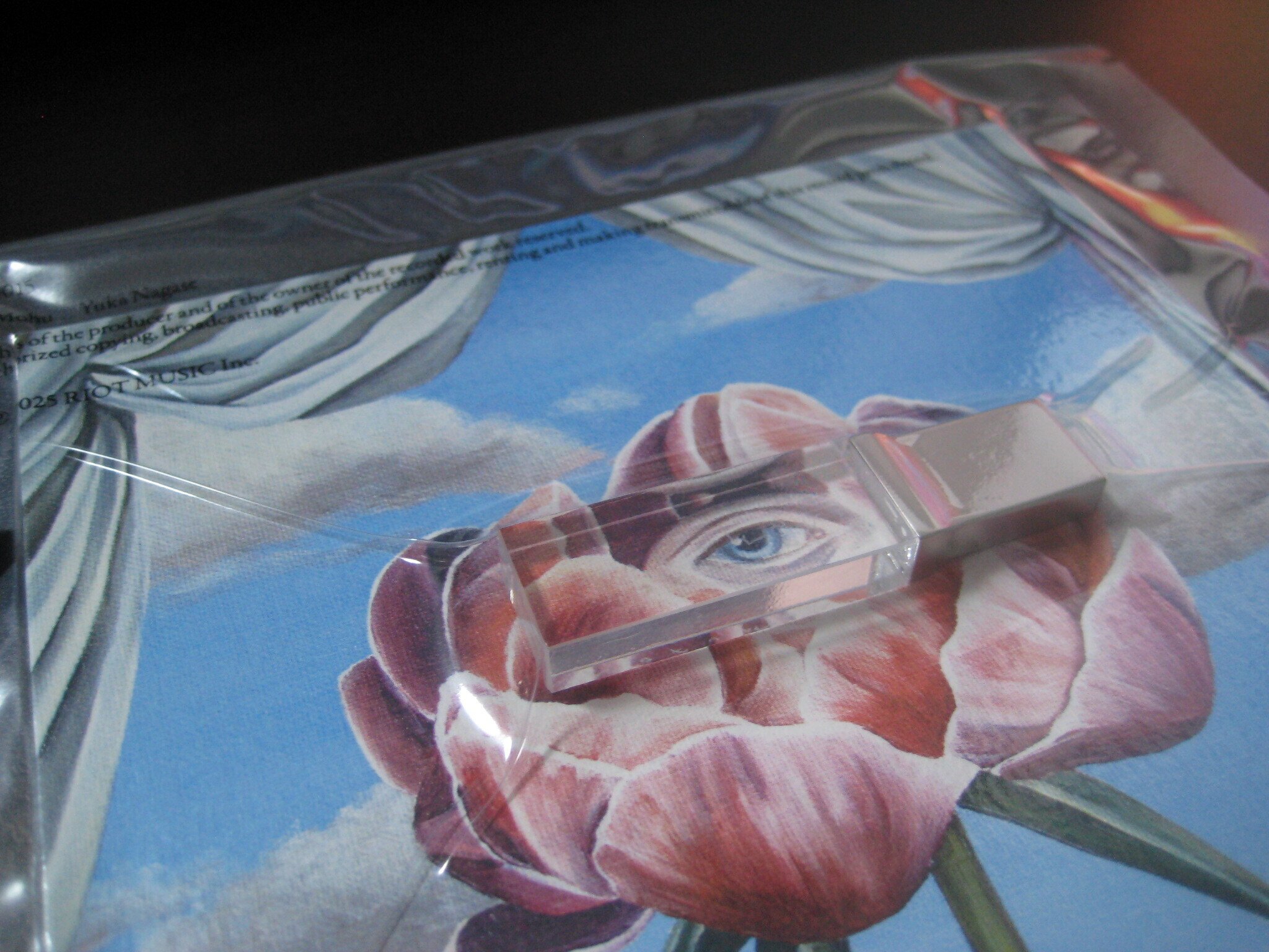 Mofu Mohu／長瀬有花』の初回限定盤が良すぎるので迷ってる人はすぐに