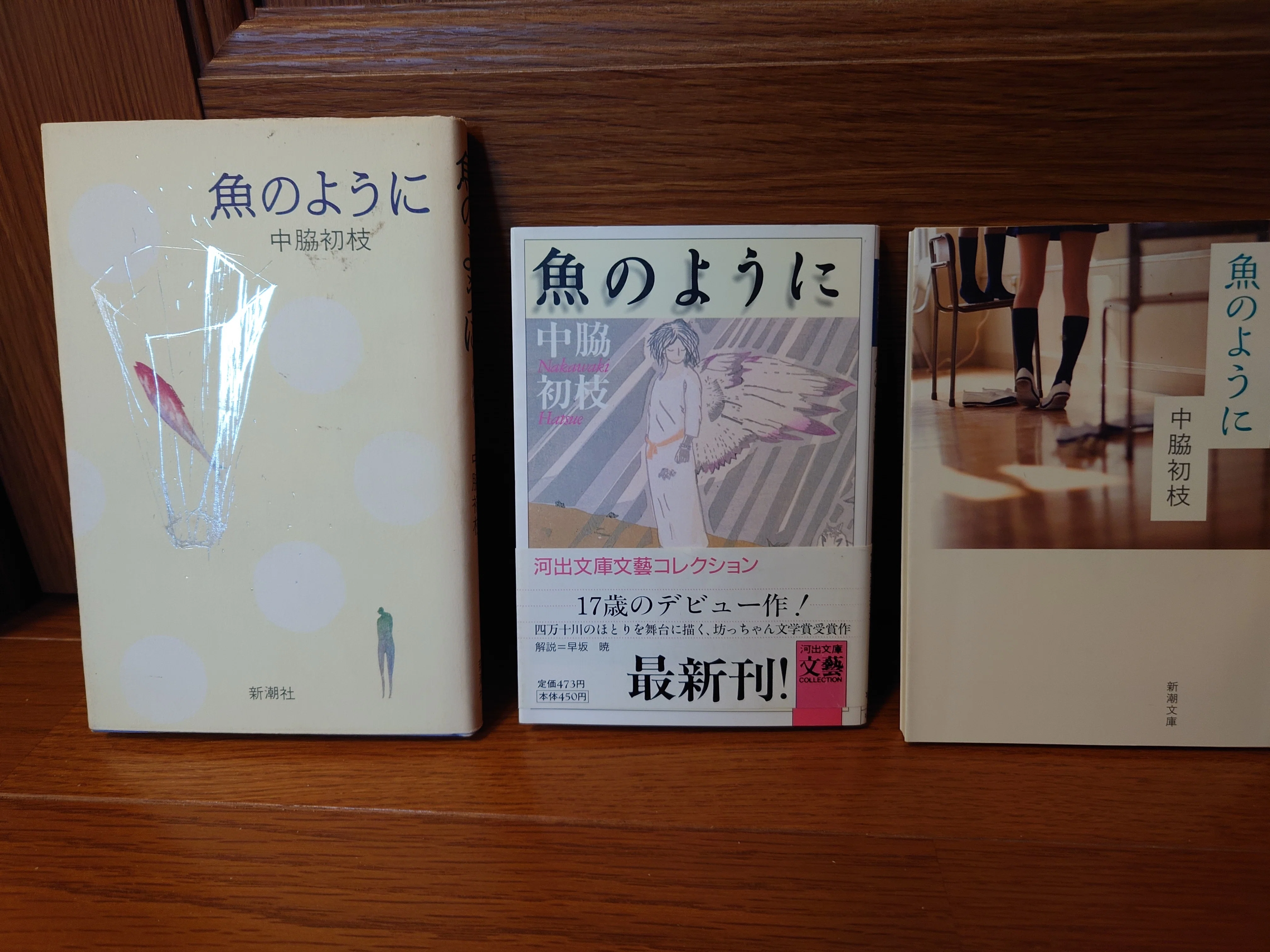 伝言5｣(中脇初枝「魚のように」について5)｜kenzee観光第三レジャービル