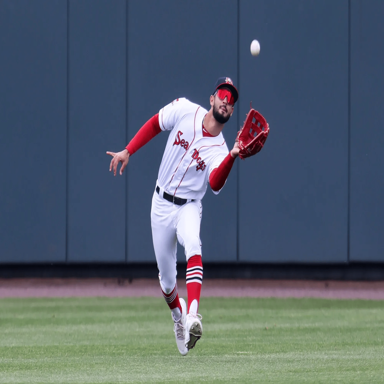 七七短劇表妹結婚| TikTok, image size:2000x1332