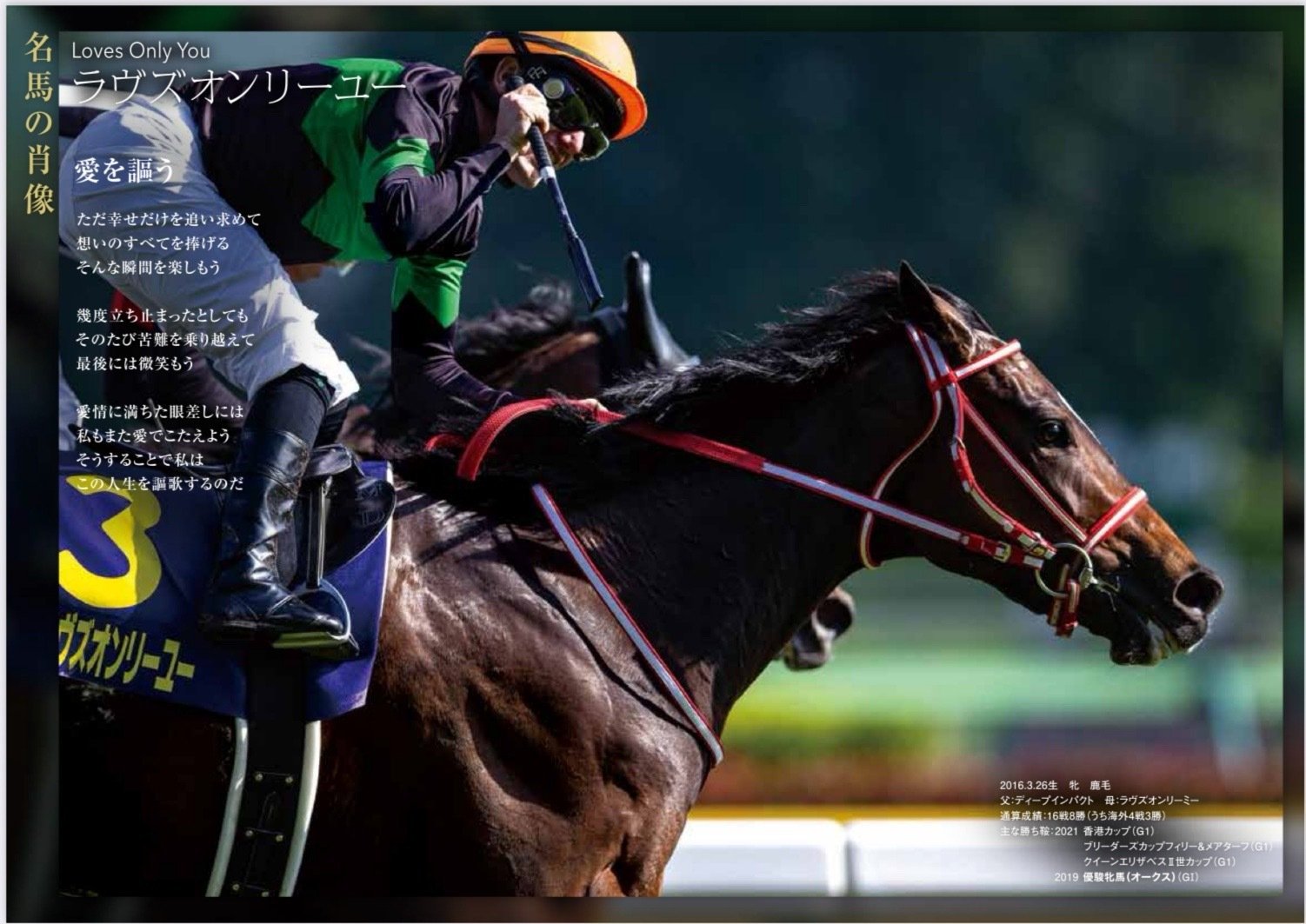 【競馬】デアリングタクト・オークス優勝記念Tシャツ(XL)／JRA／入手困難 オークス(優駿牝馬)(G1) 2023 特集 - WIN!競馬