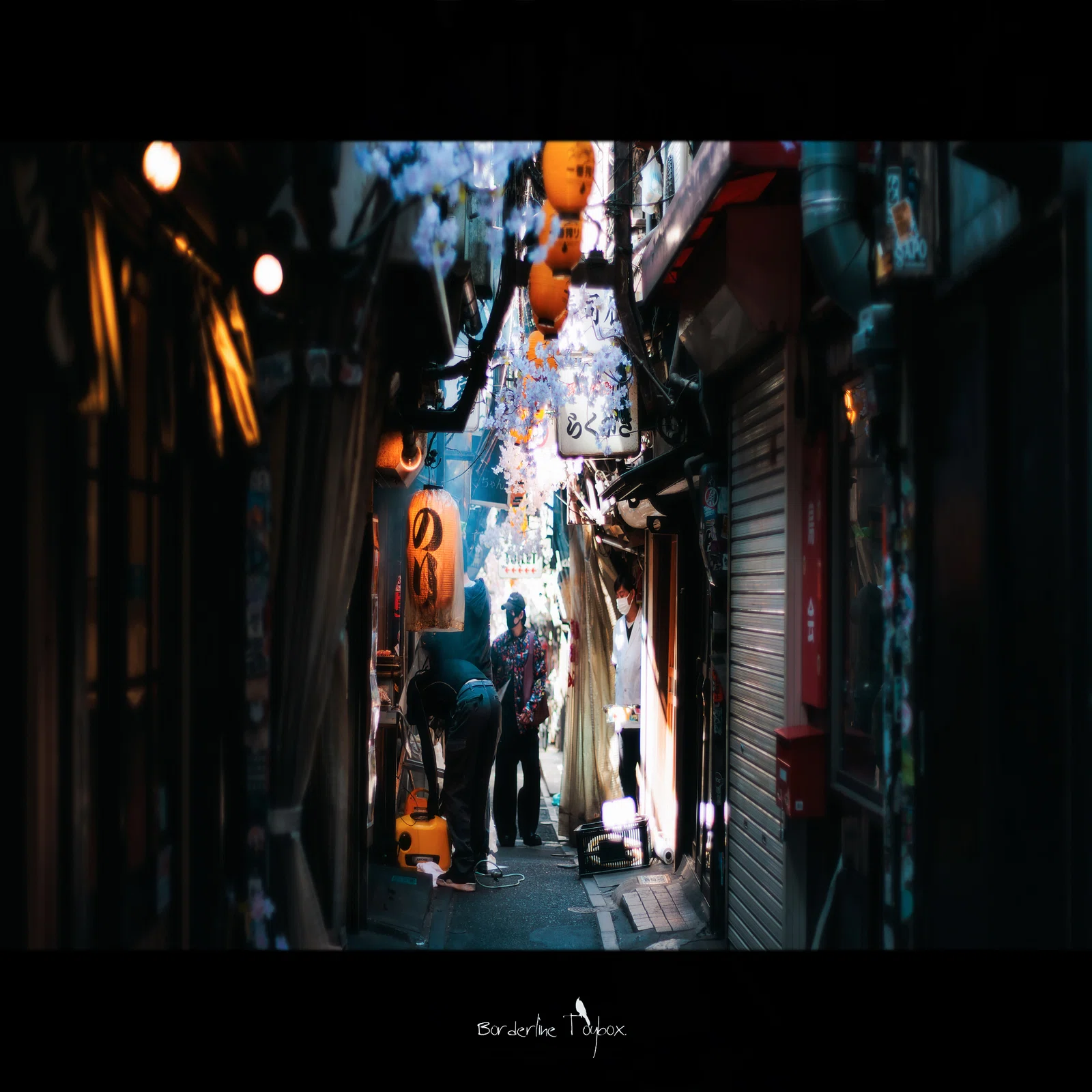 Carl Zeiss Planar T*50mm F1.4 AEJ｜ボーダー(Borderline Toybox.)