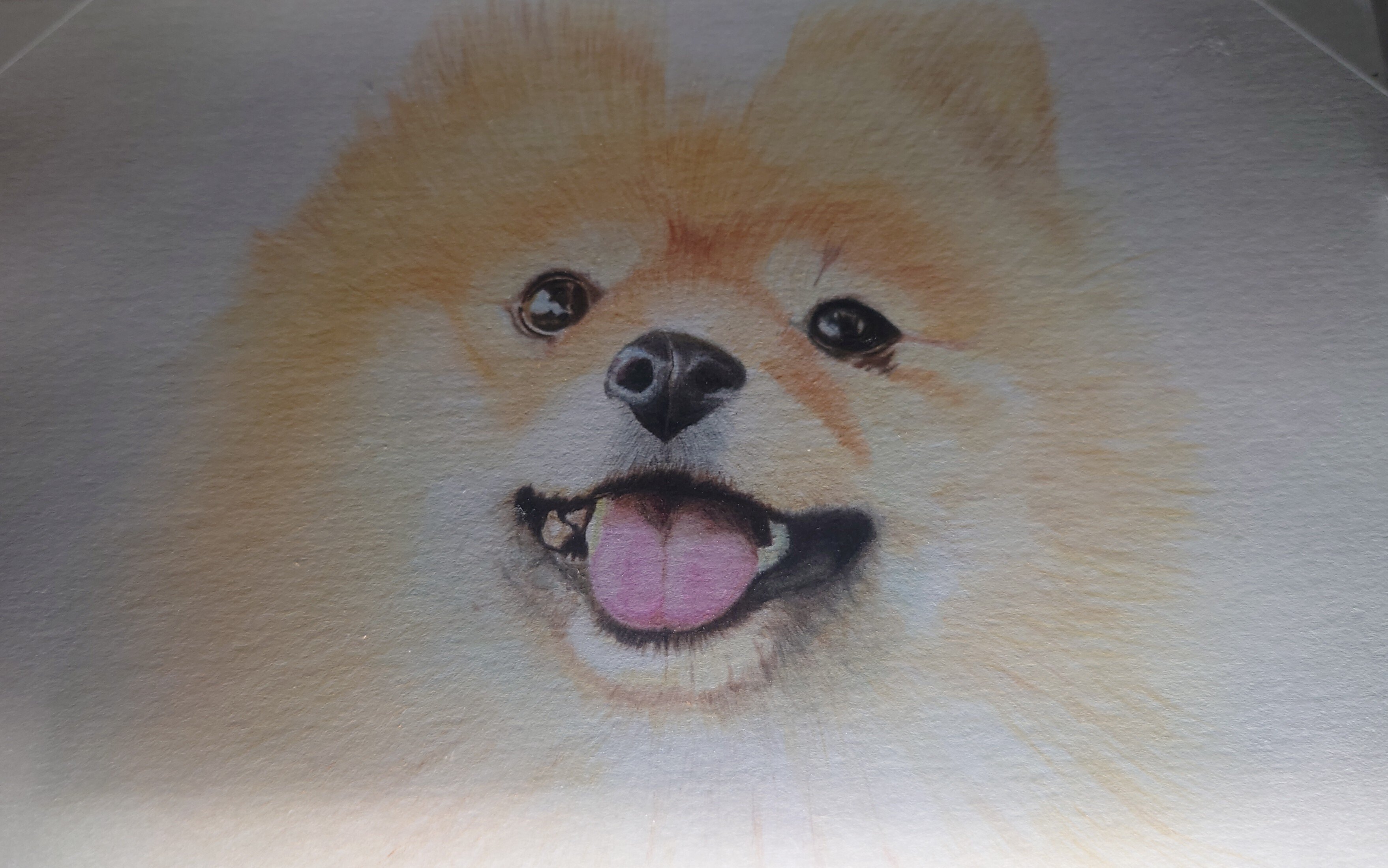 りんねページです。色鉛筆画　犬の絵 9dd819f6f0569fffedb7d2e6ceb628