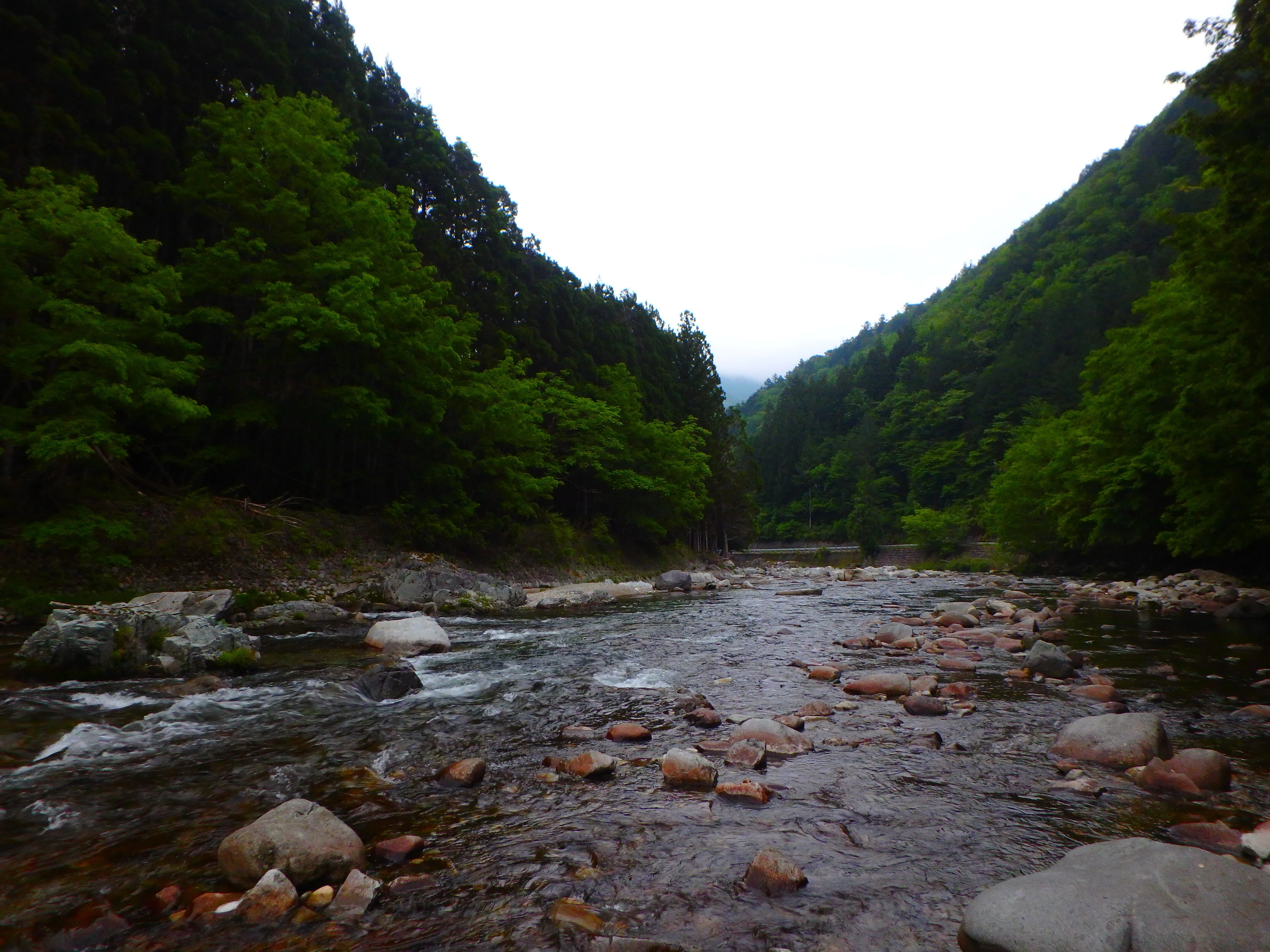皐月5月 馬瀬川上流渓流釣行｜SW工房